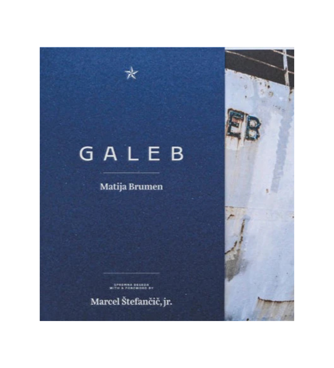 Matija Brumen: Galeb