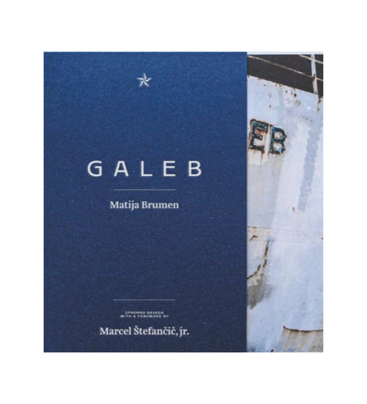 Matija Brumen: Galeb