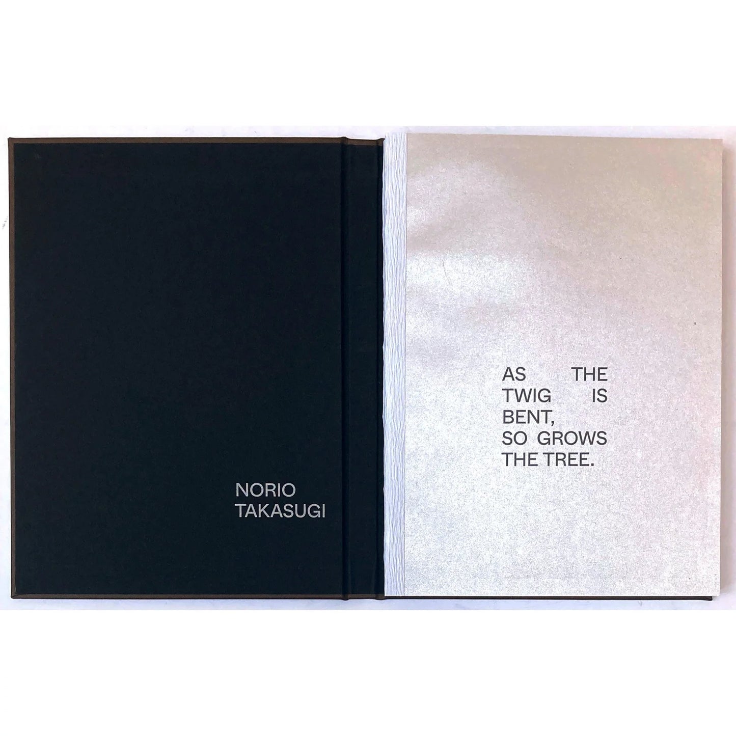 Norio Takasugi: AS THE TWIG IS BENT, SO GROWS THE TREE