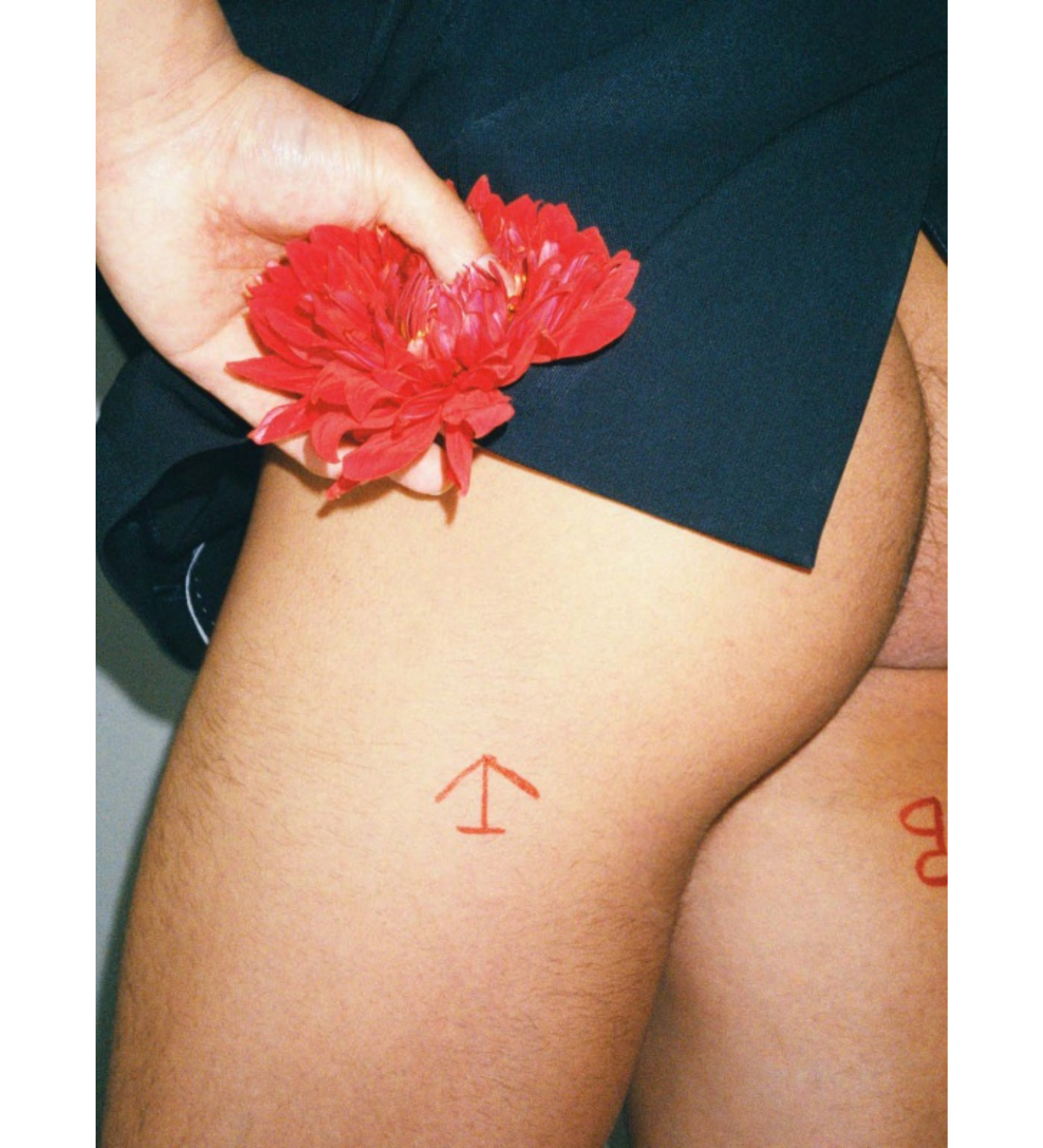 Lin Zhipeng (No.223): 223 BY 223 Vol.1