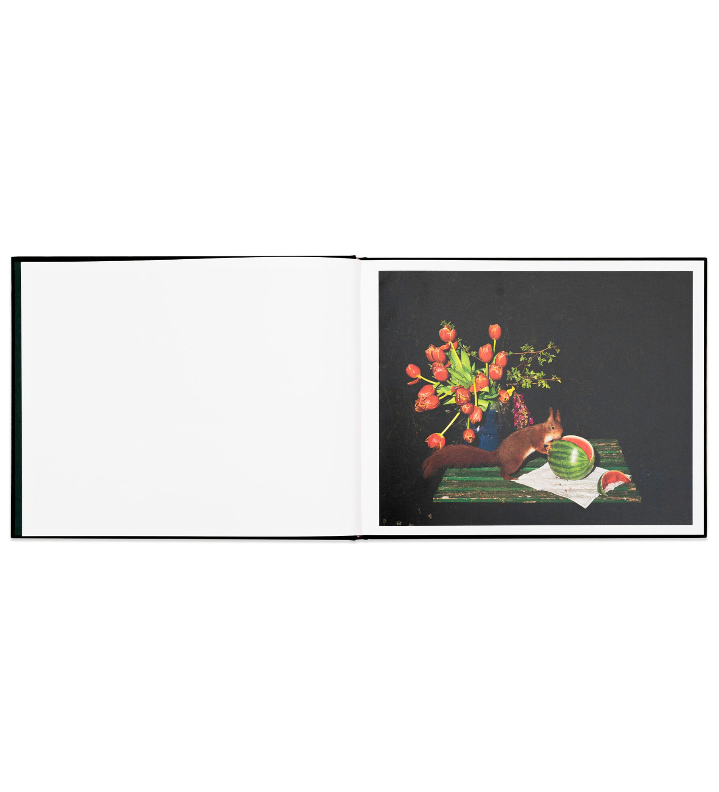 Lia Darjes: Plates I-XXXI