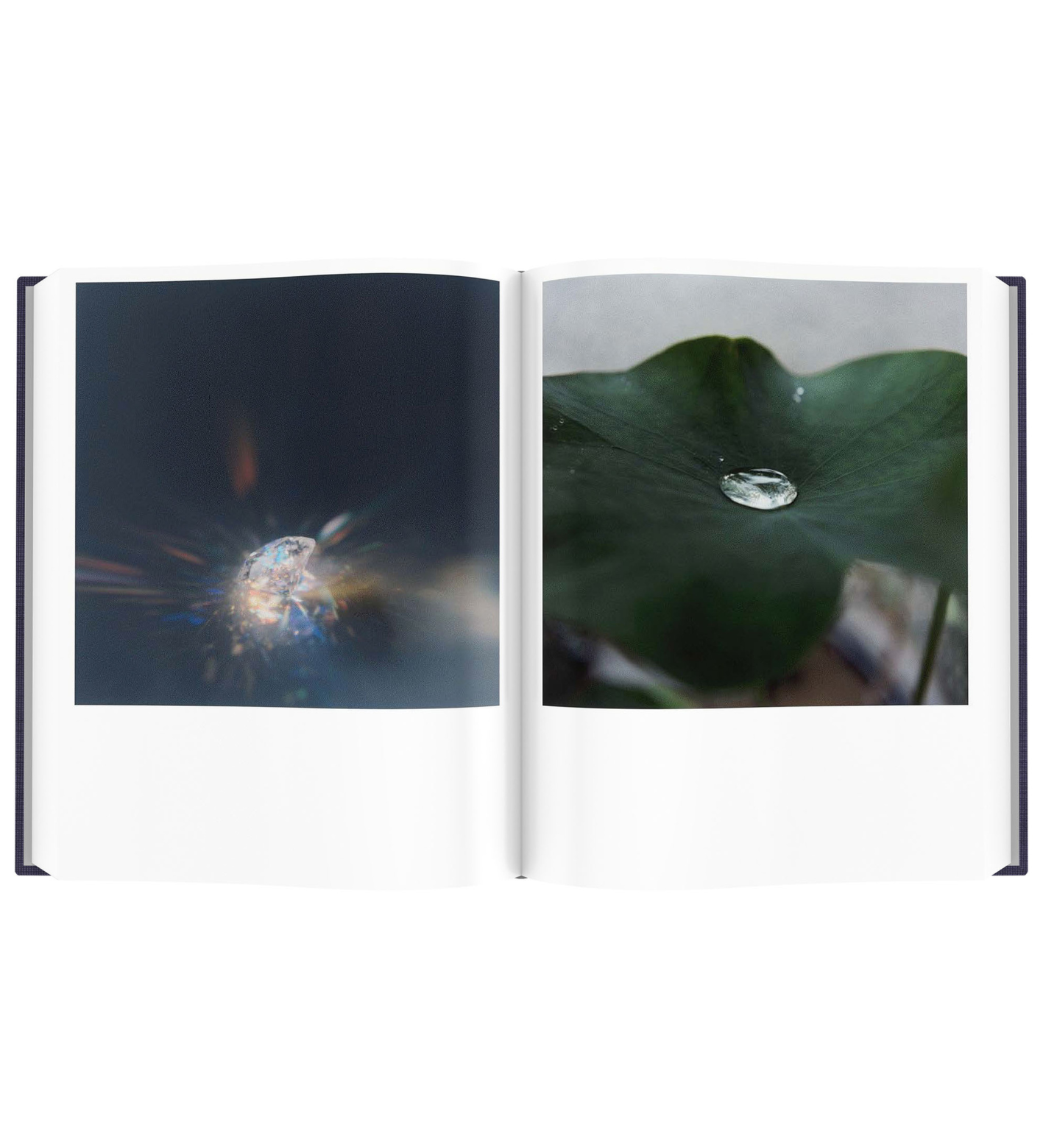 Rinko Kawauchi: Illuminance