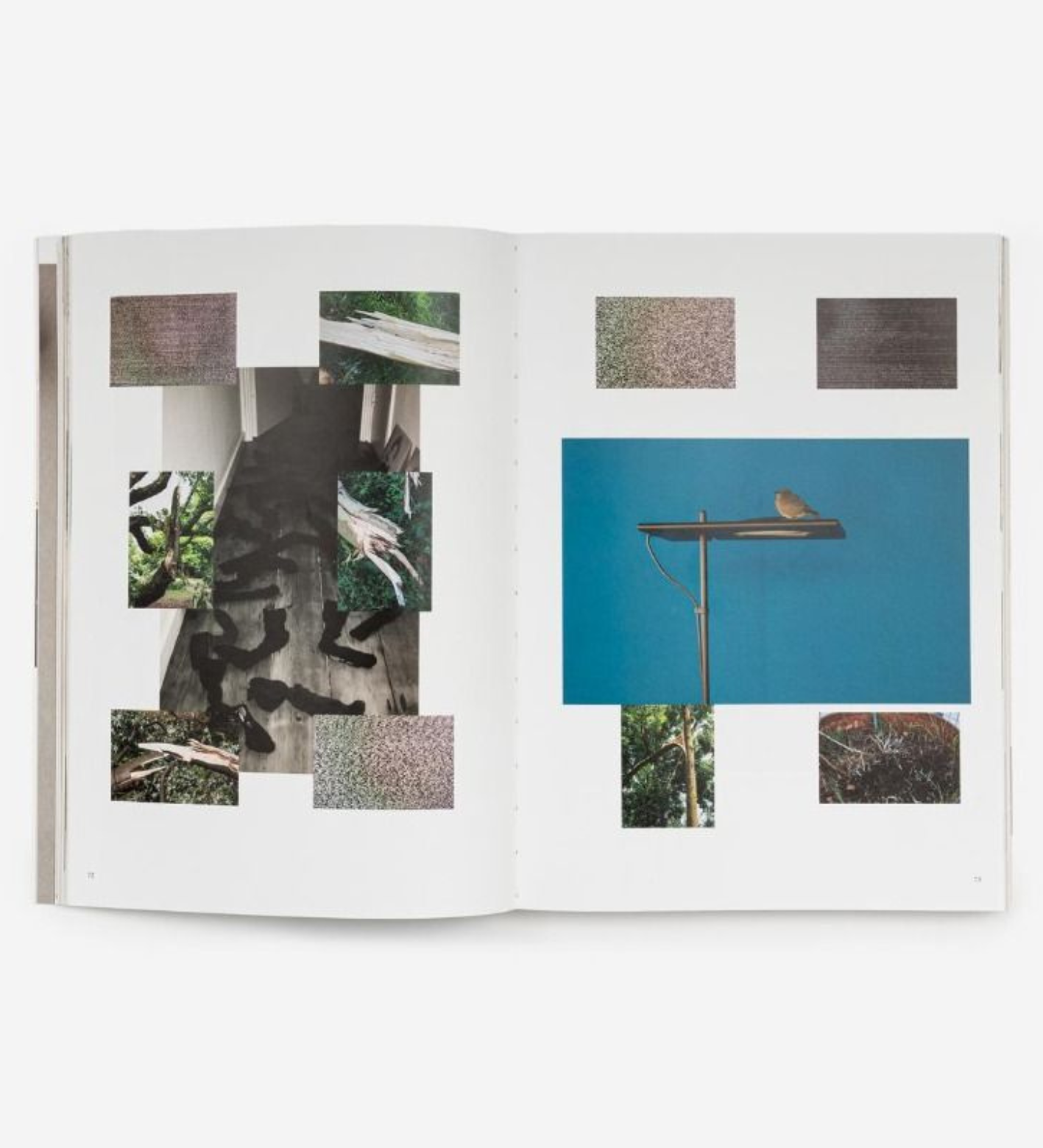 Wolfgang Tillmans: Things matter