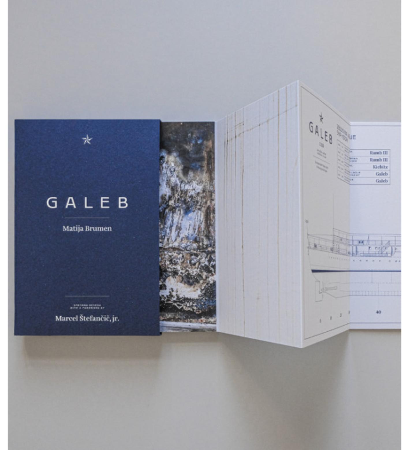 Matija Brumen: Galeb