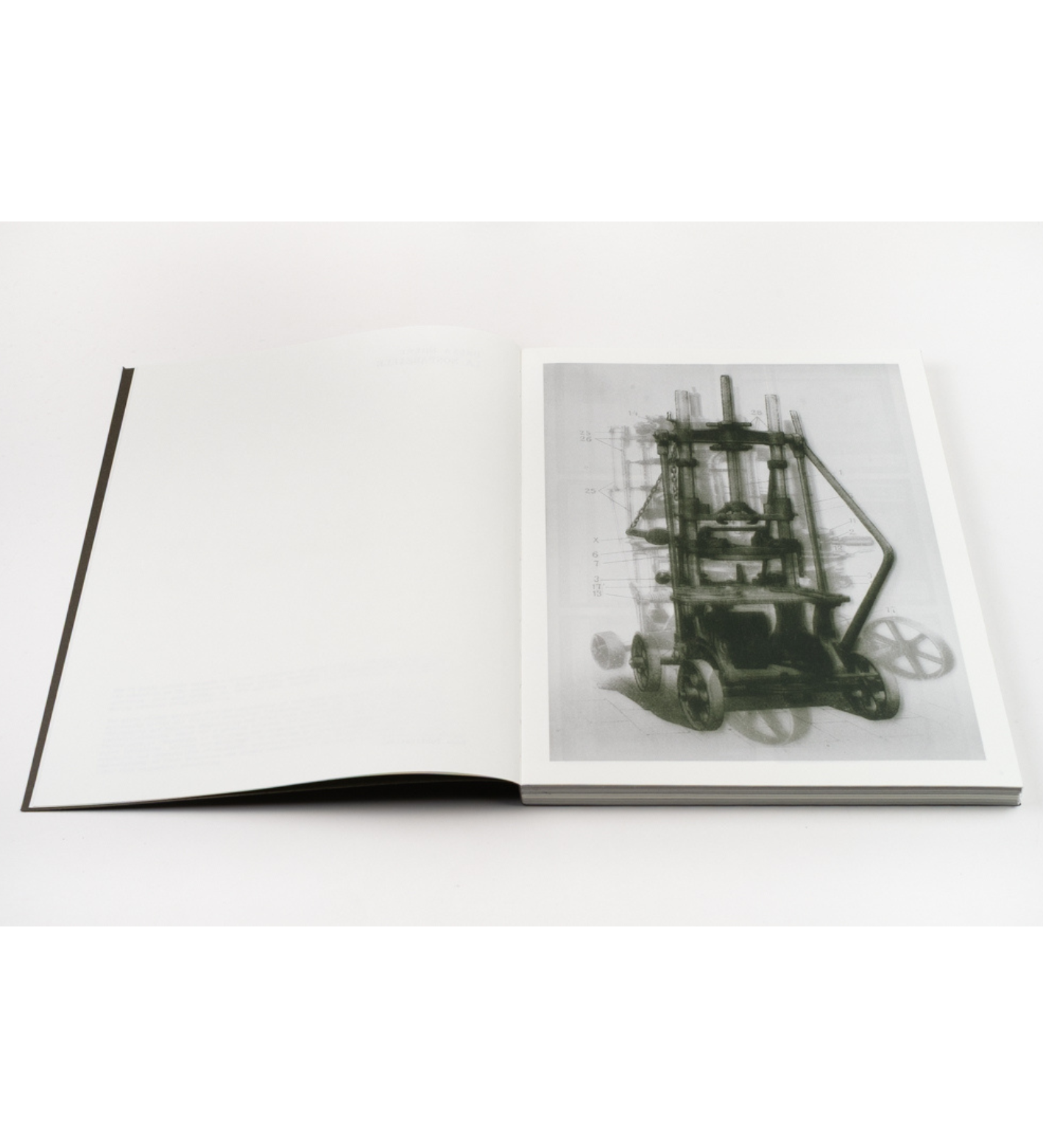 Batia Suter: La Nonpareille