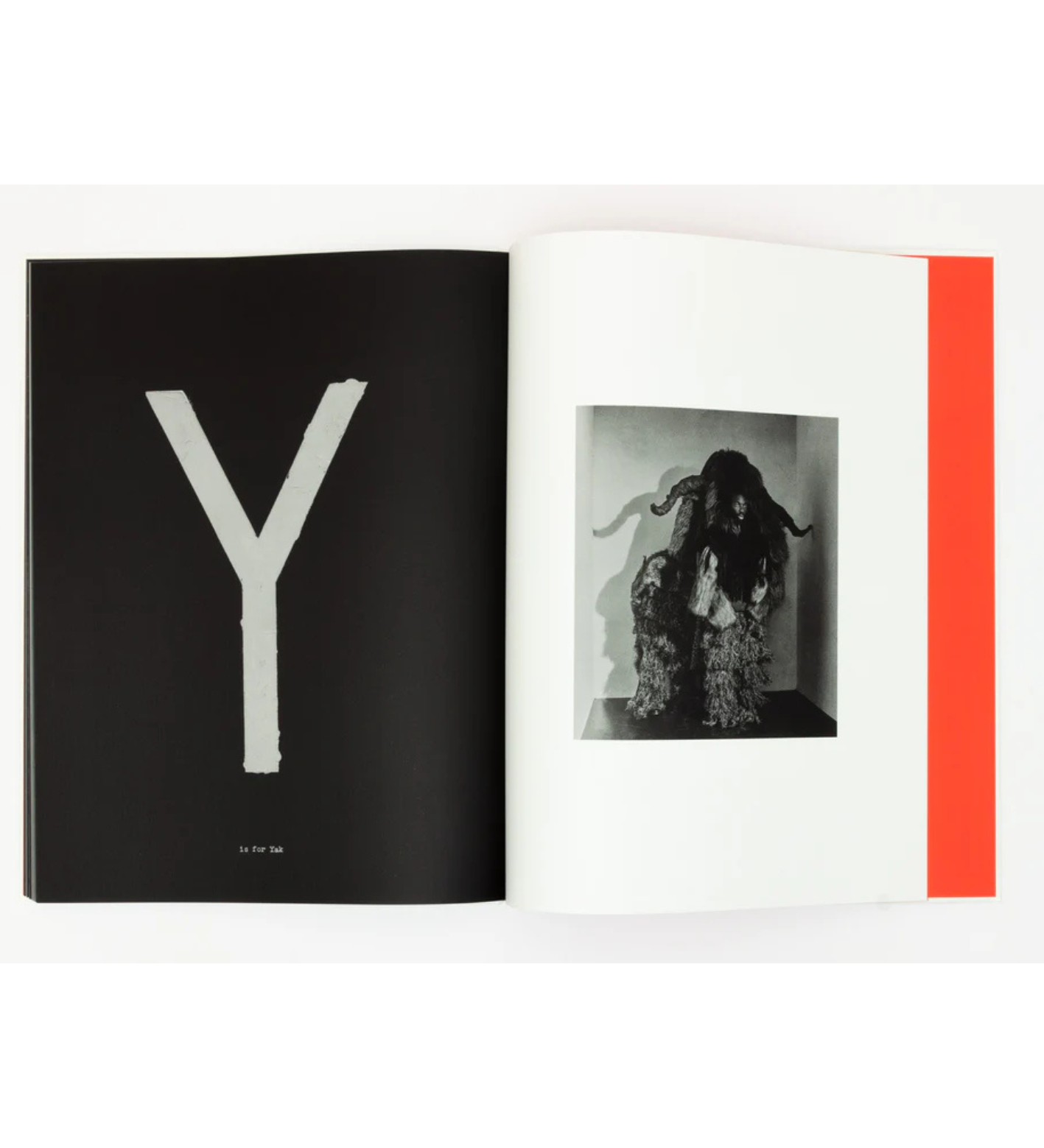 Jack Davison: A is for Ant