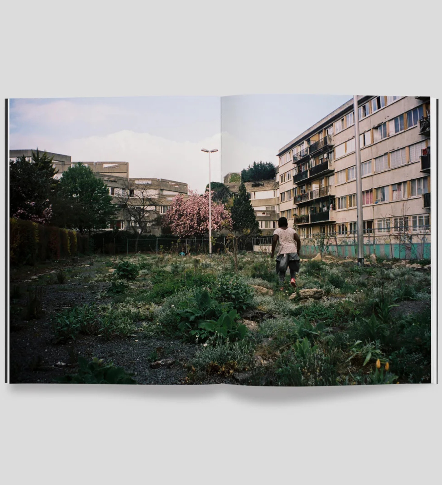 Marvin Bonheur: La trilogie du Bonheur