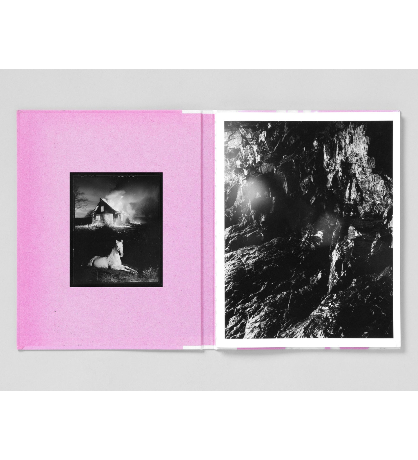 Pia-Paulina Guilmoth: Flowers Drink the River
