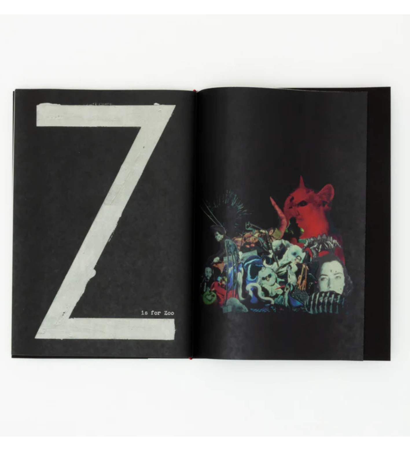 Jack Davison: A is for Ant Children's Edition