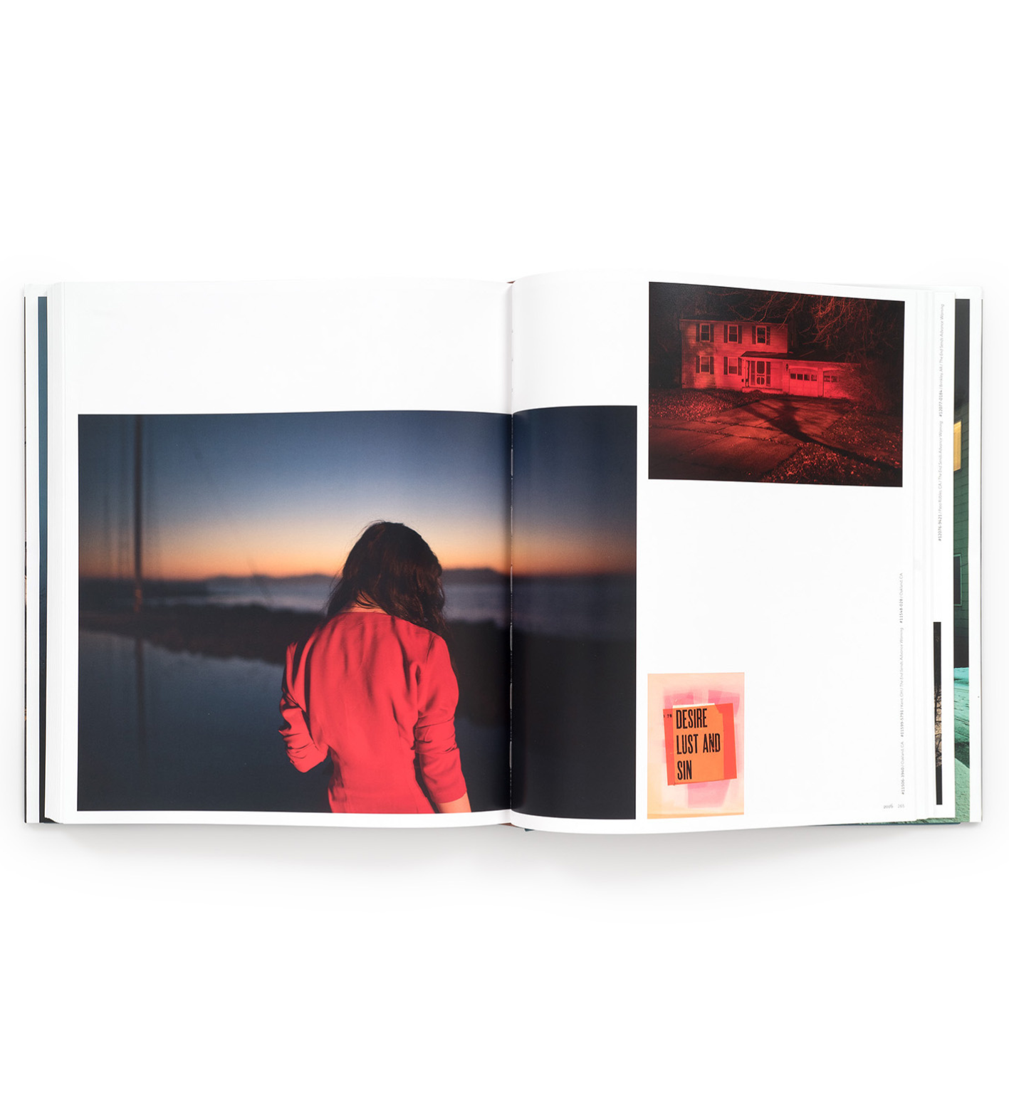 Todd Hido: Intimate Distance (revised and expanded Edition)