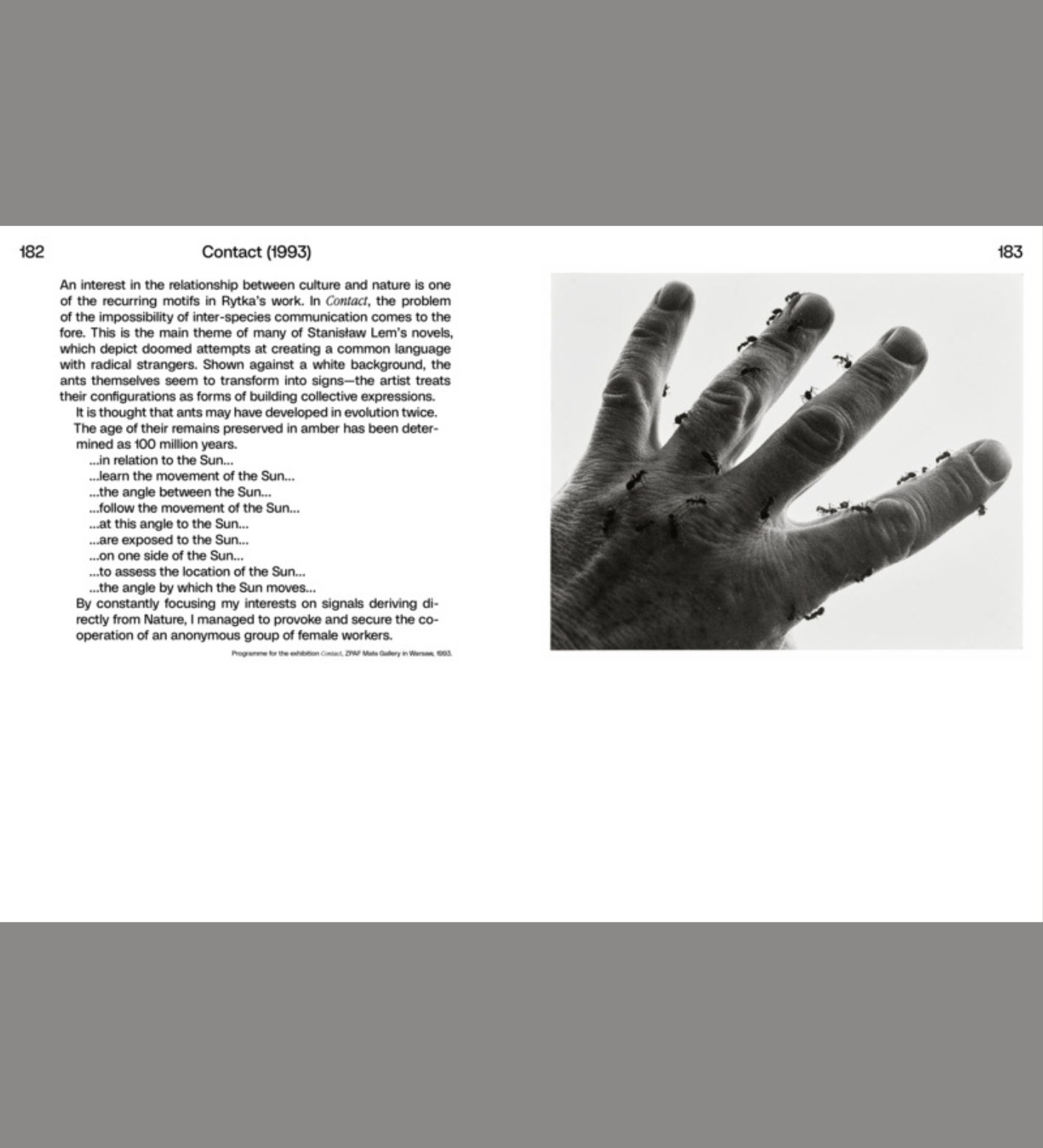 Zygmunt Rytka: Stones, Ants, and Television