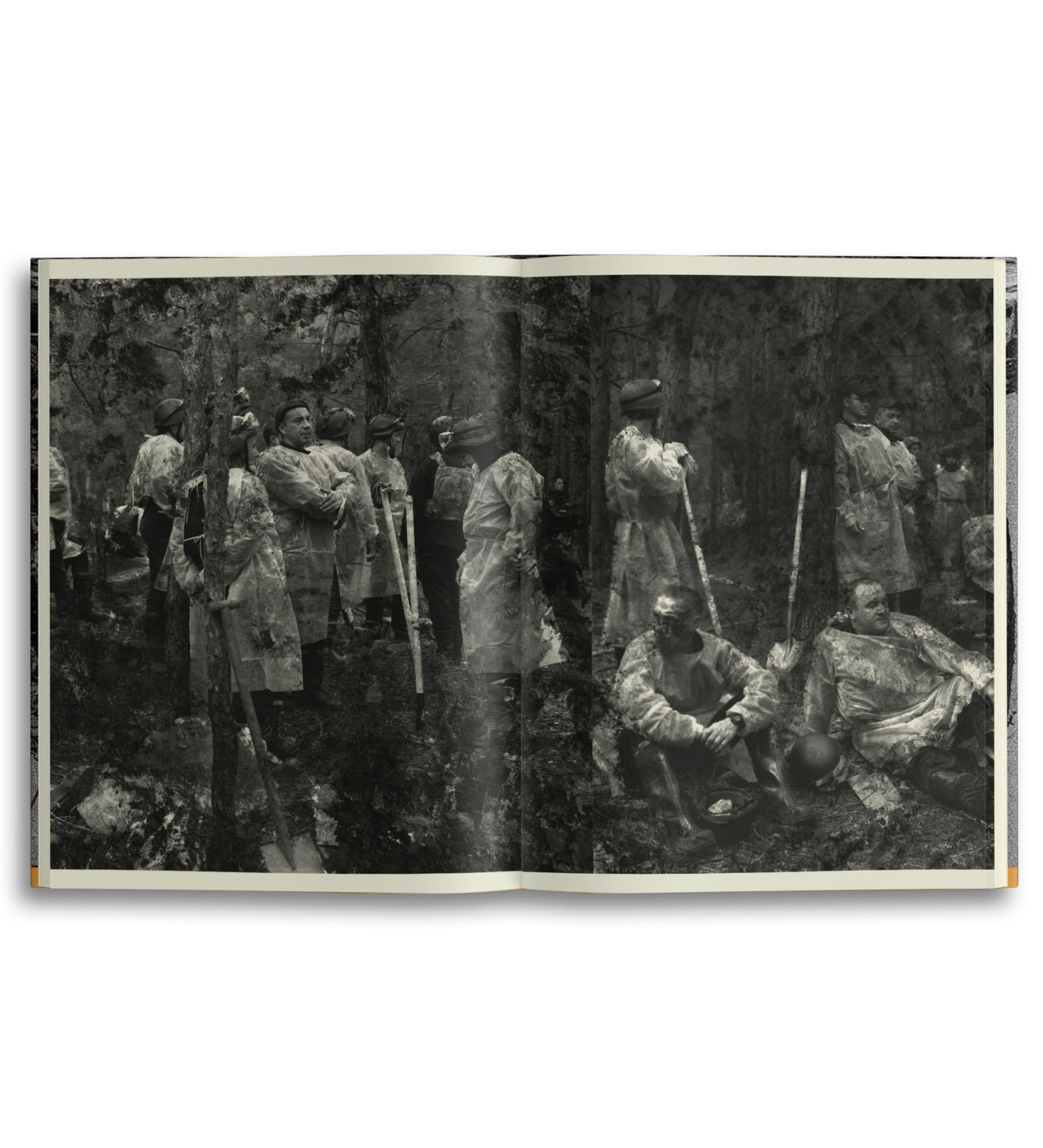 Yana Kononova: Radiations of War