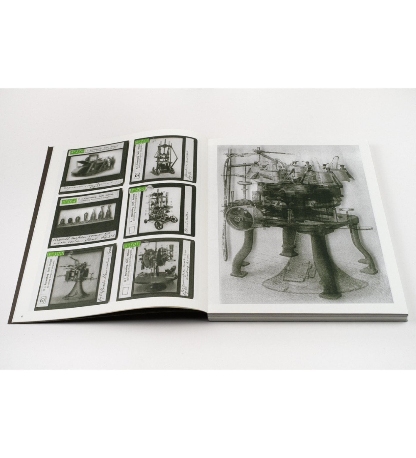 Batia Suter: La Nonpareille