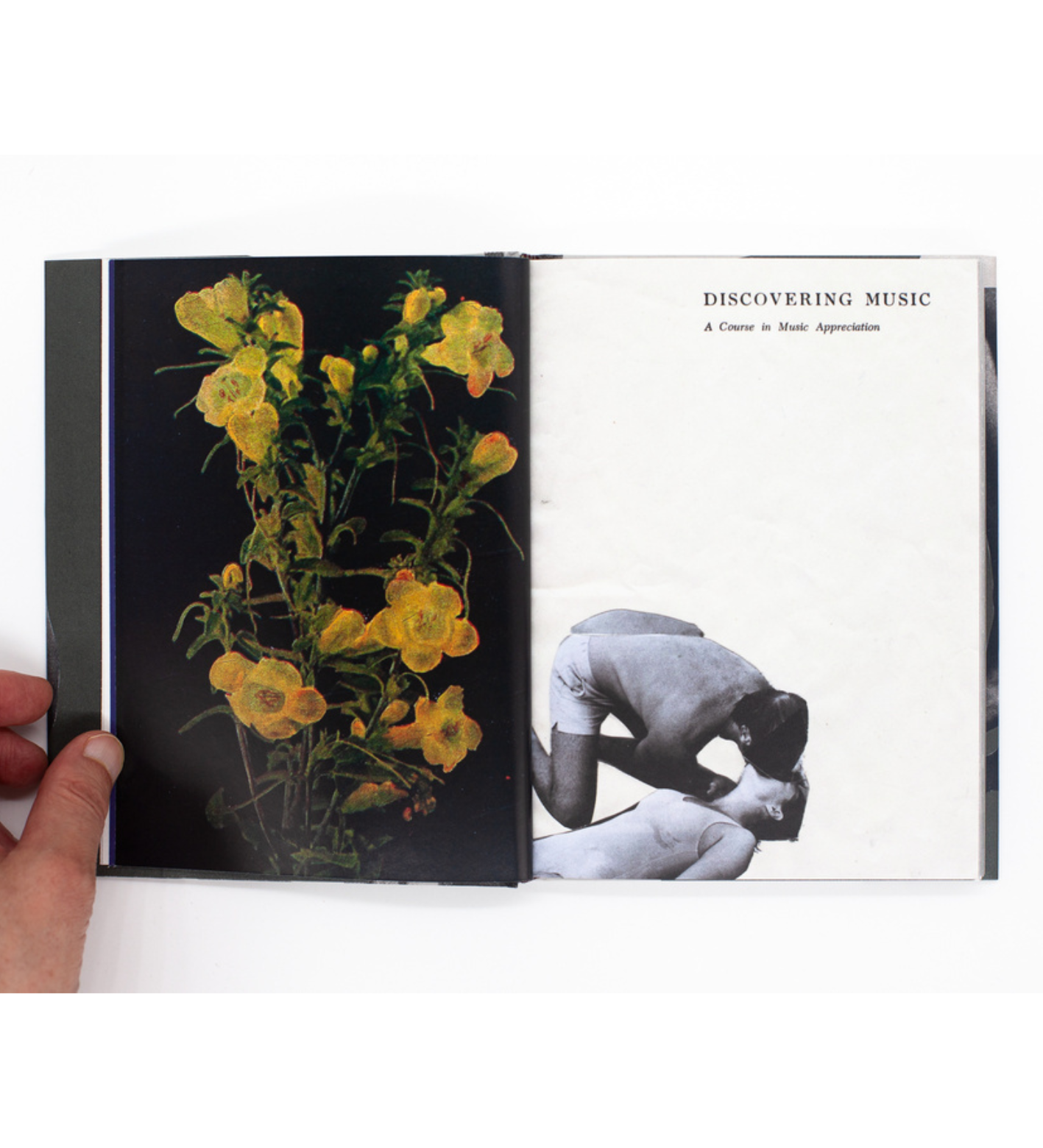 James Gallagher: Wild Flowers