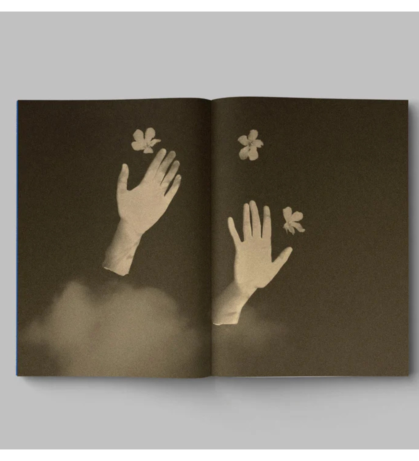 Paul Cupido: Drifting stones (signed & numbered)