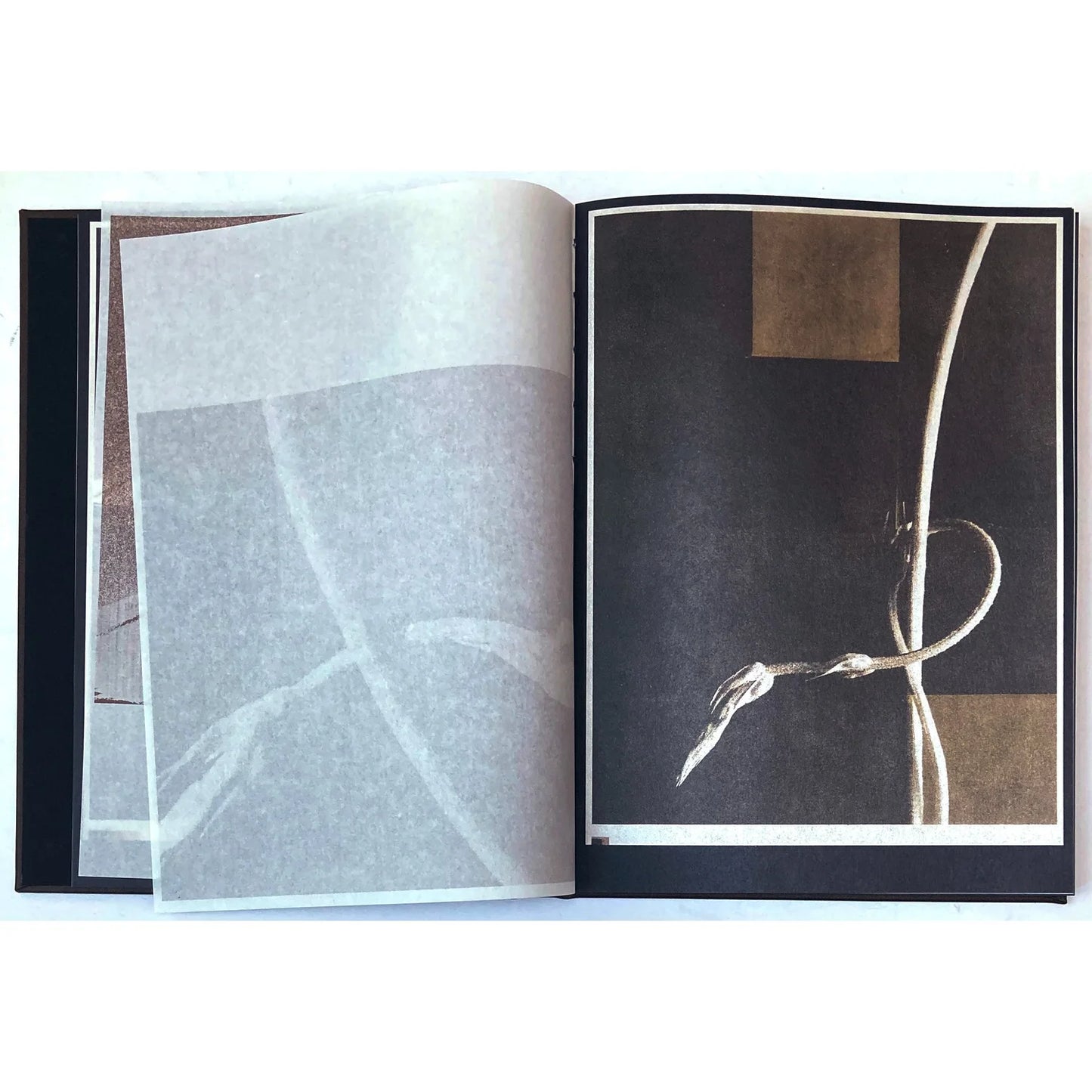 Norio Takasugi: AS THE TWIG IS BENT, SO GROWS THE TREE