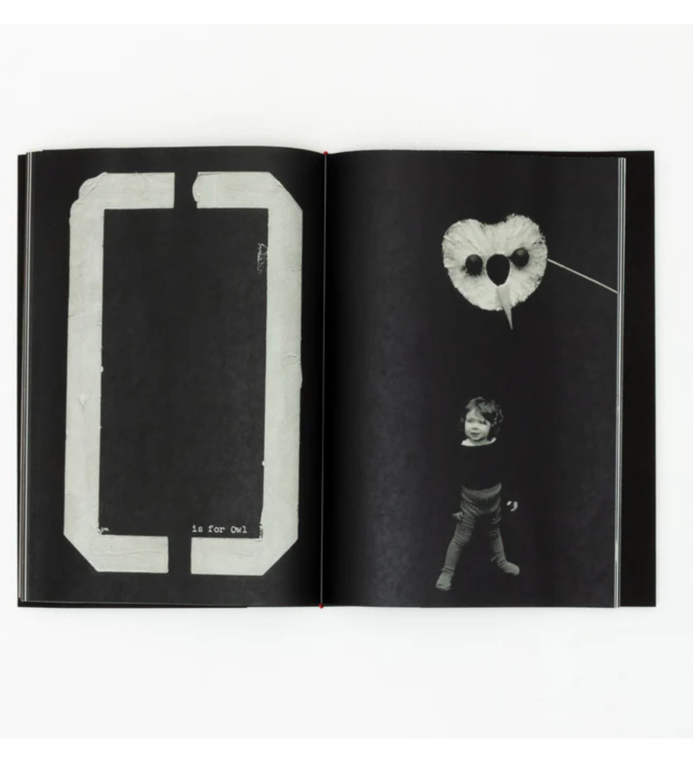 Jack Davison: A is for Ant Children's Edition