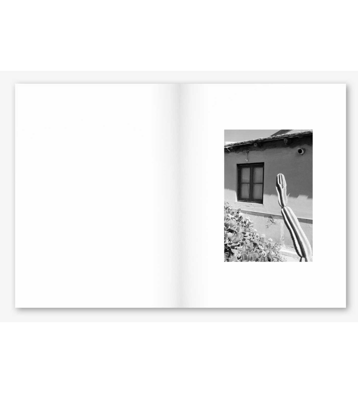 Nicola Buonomo: Luoghi
