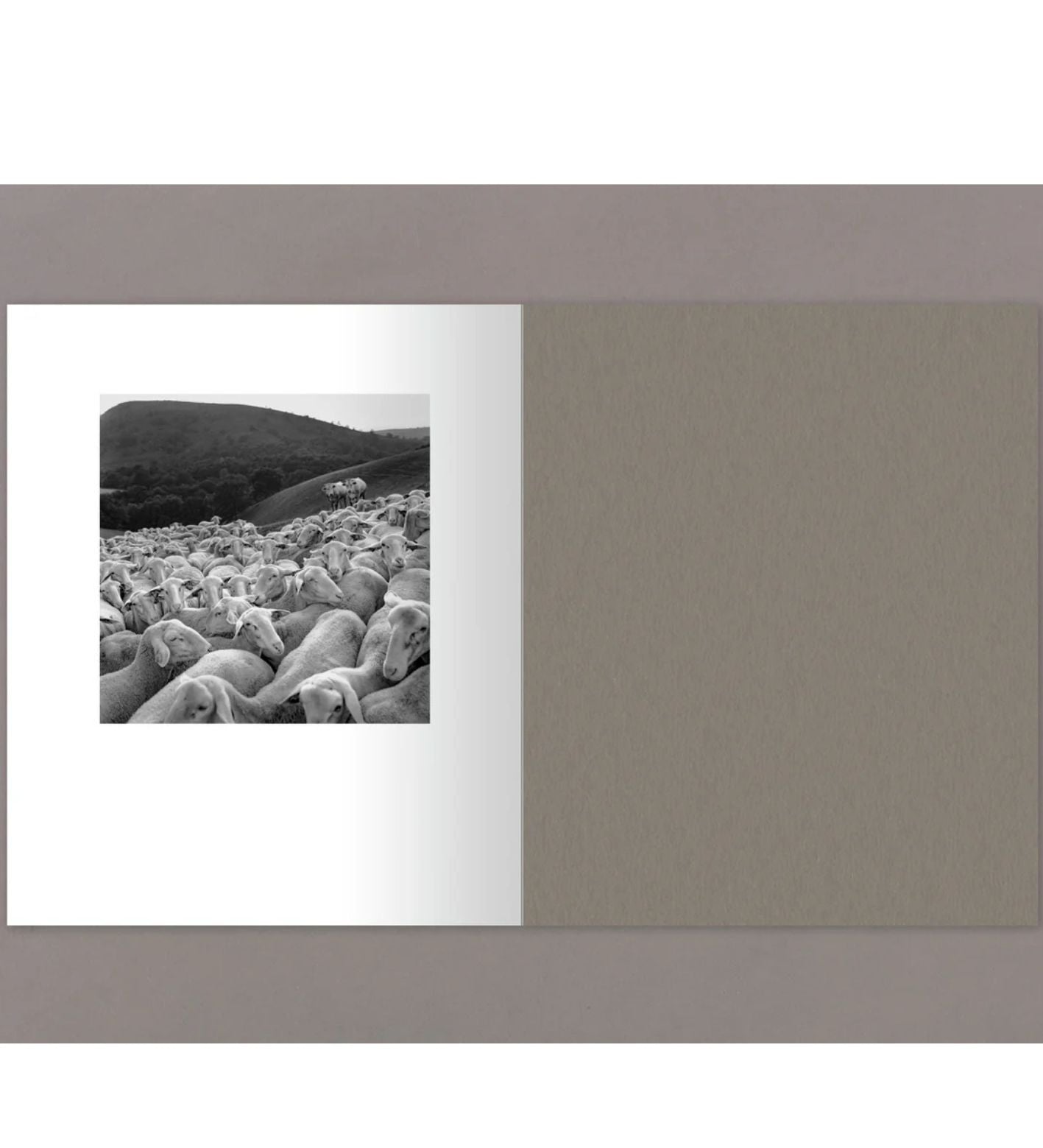 Anne Rearick: Gure Bazterrak (Our Land)