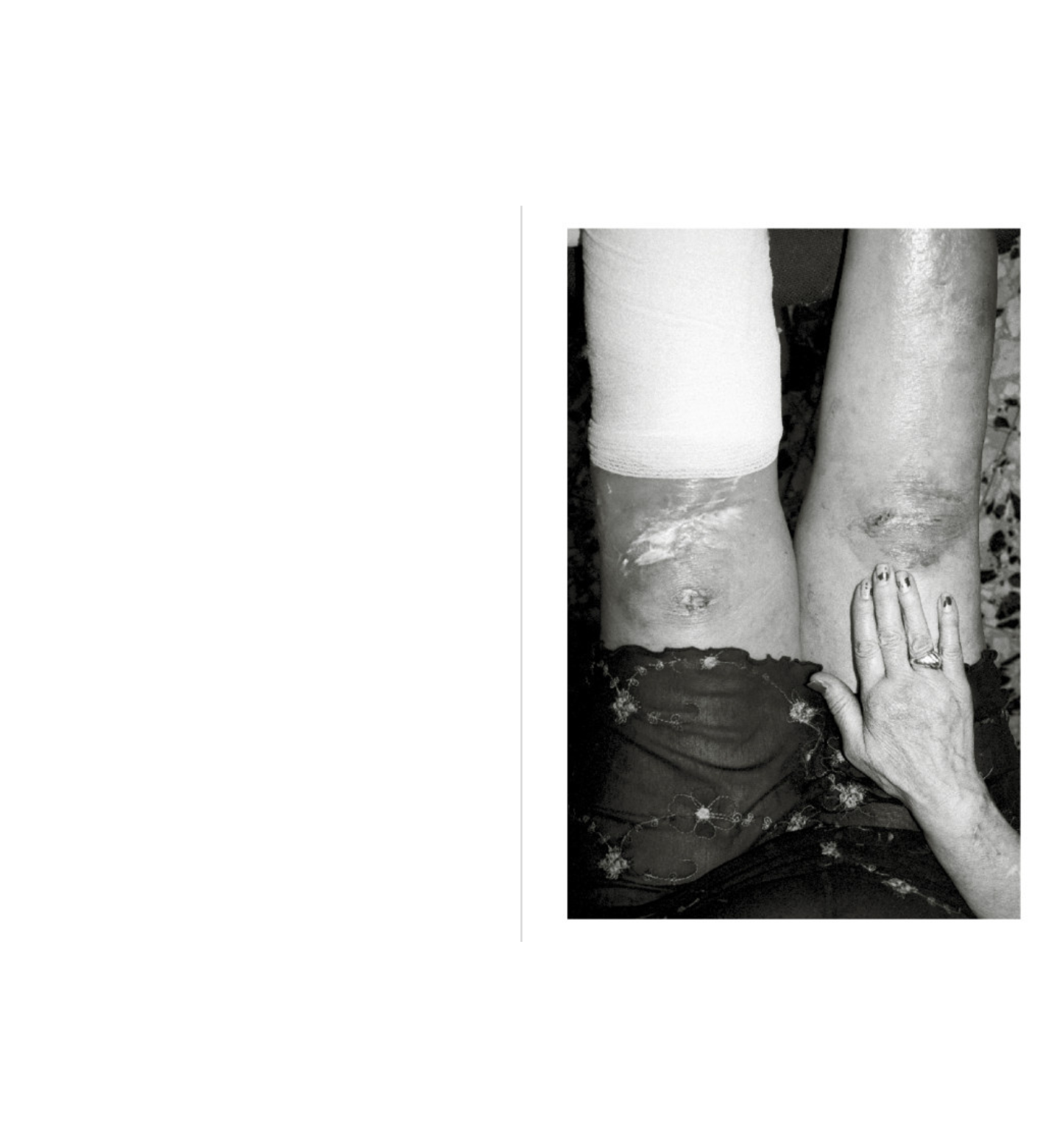 Filippo Zambon: Goodbye Meadow