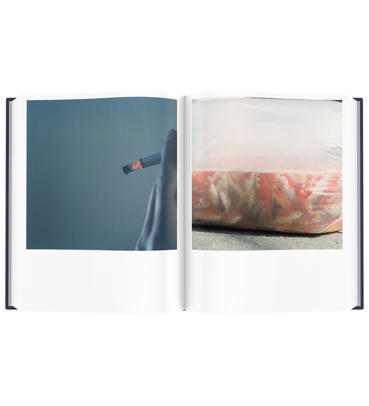Rinko Kawauchi: Illuminance