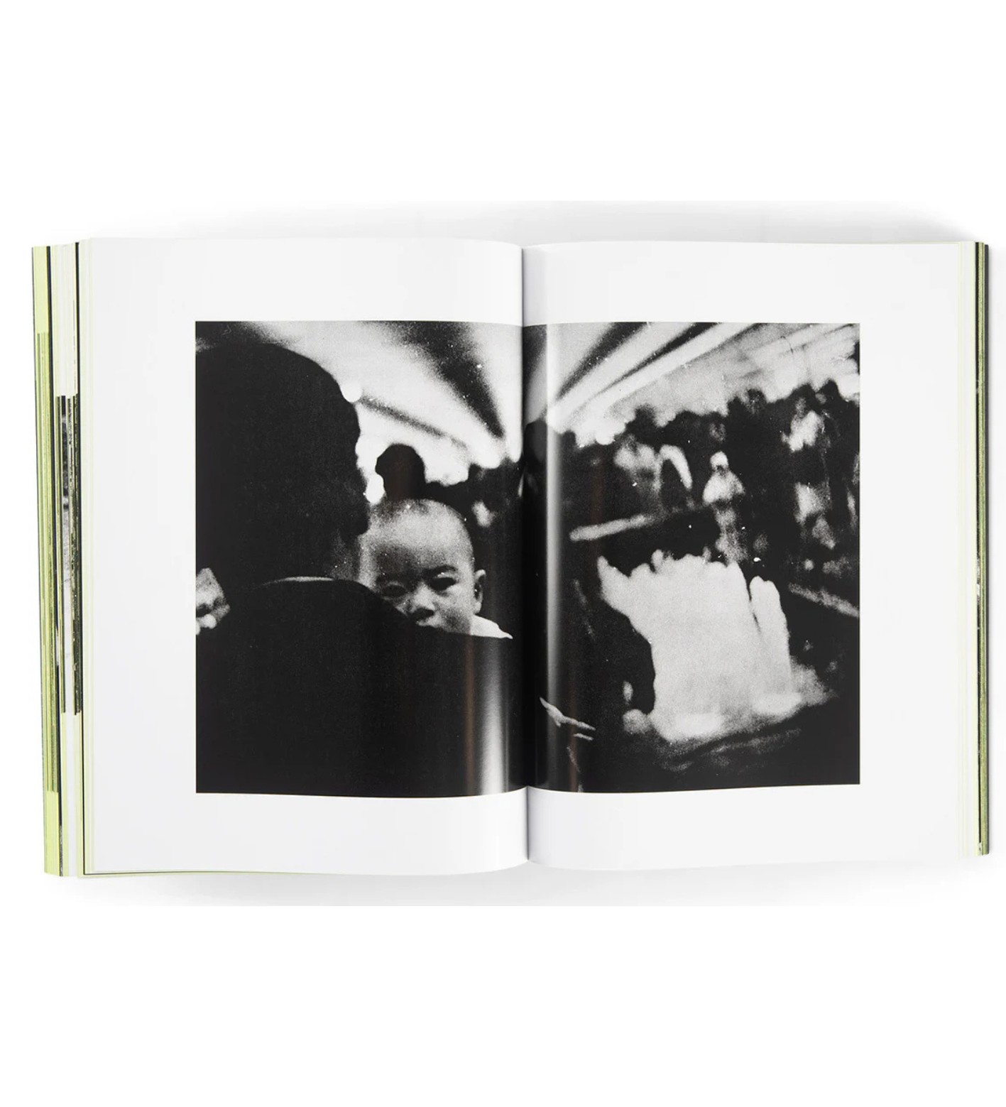 Daido Moriyama: Quartet