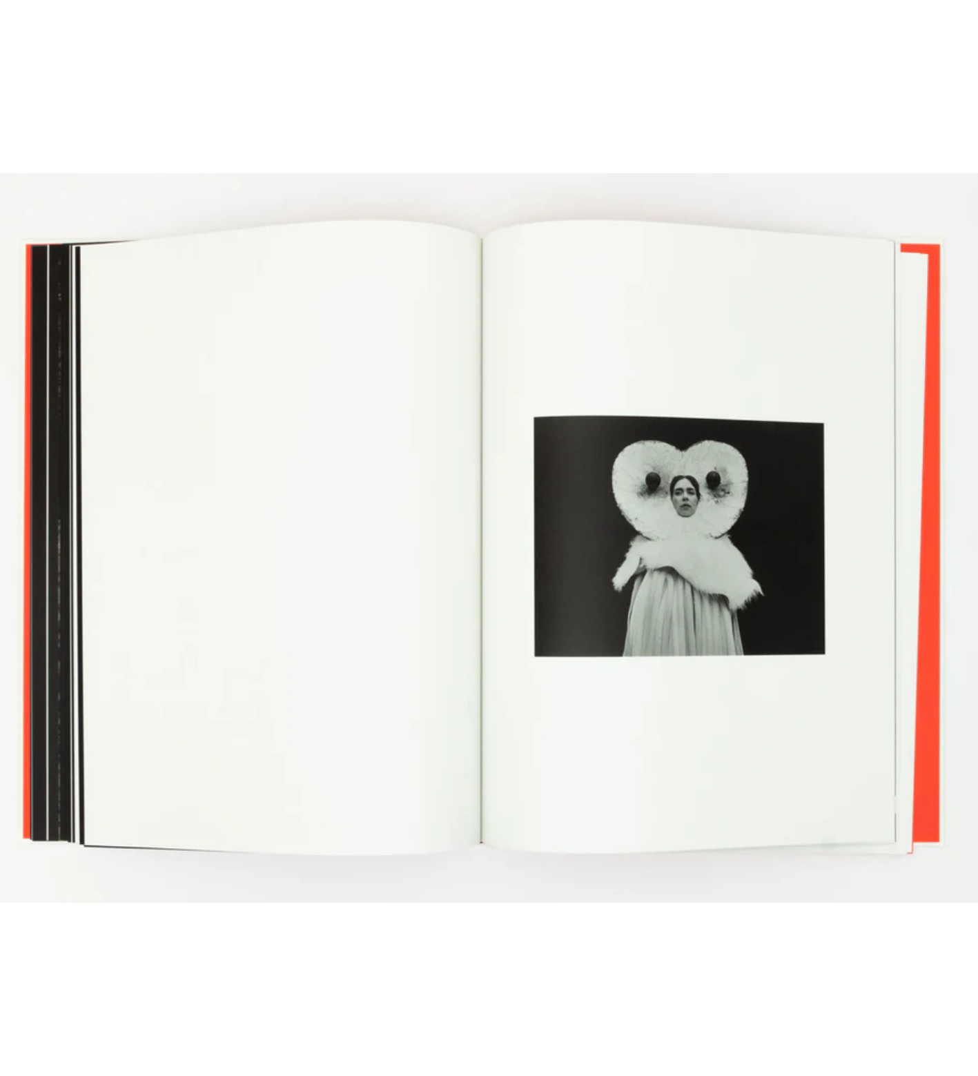 Jack Davison: A is for Ant