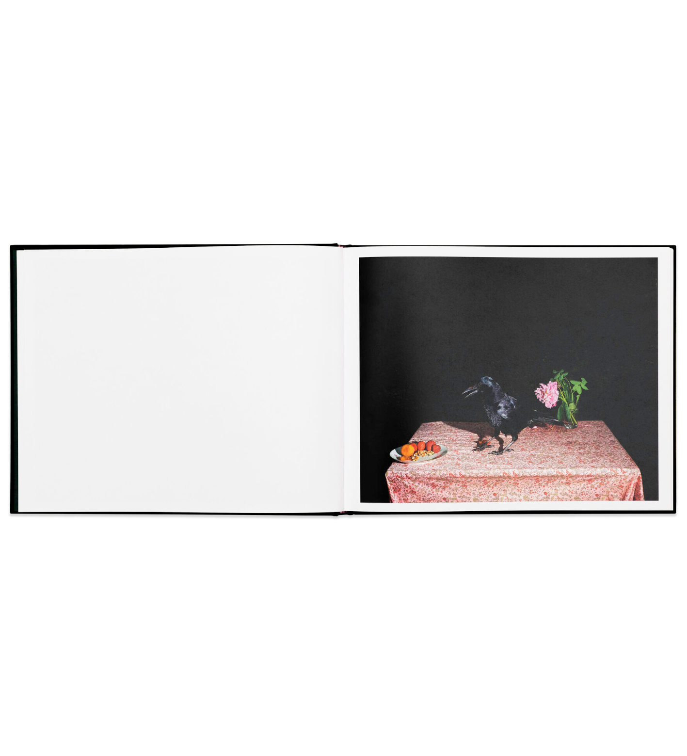 Lia Darjes: Plates I-XXXI
