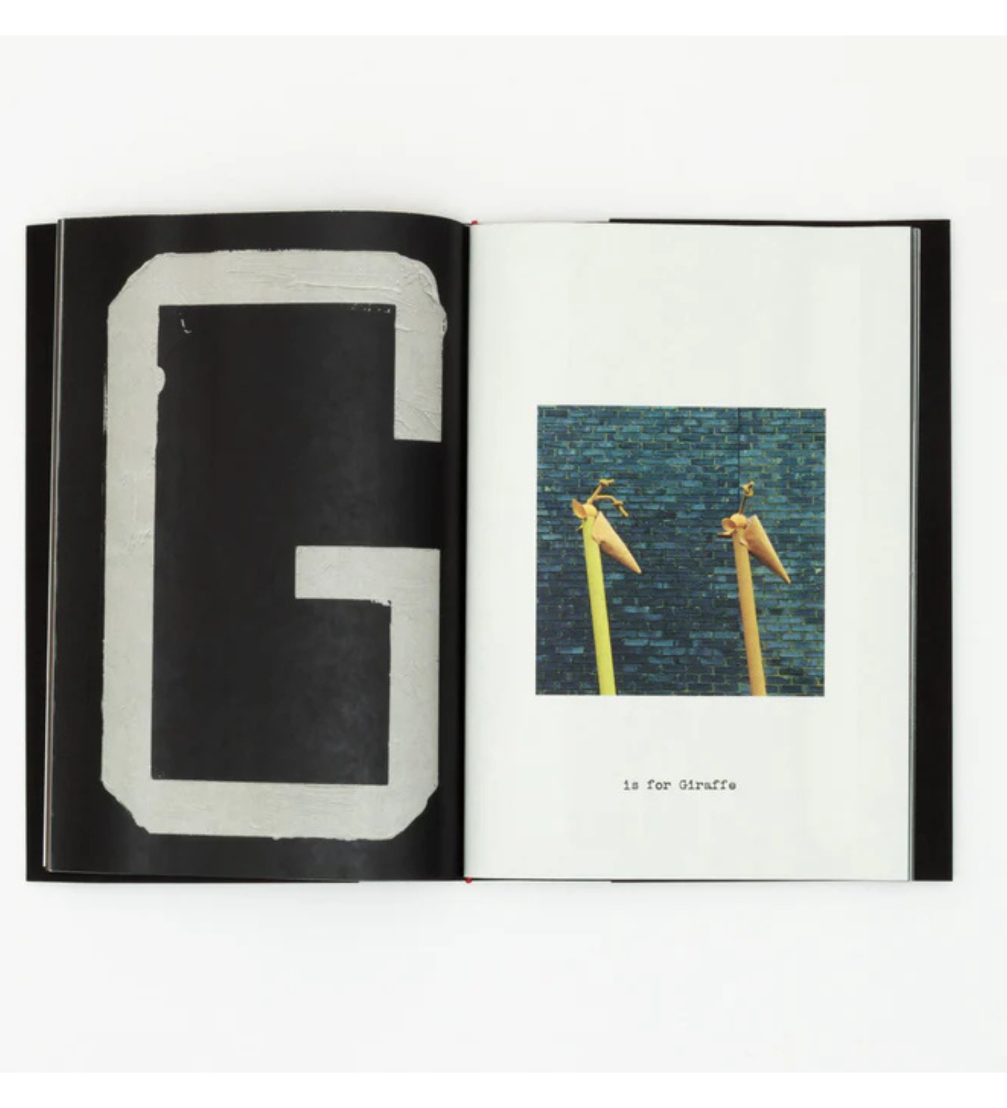 Jack Davison: A is for Ant Children's Edition