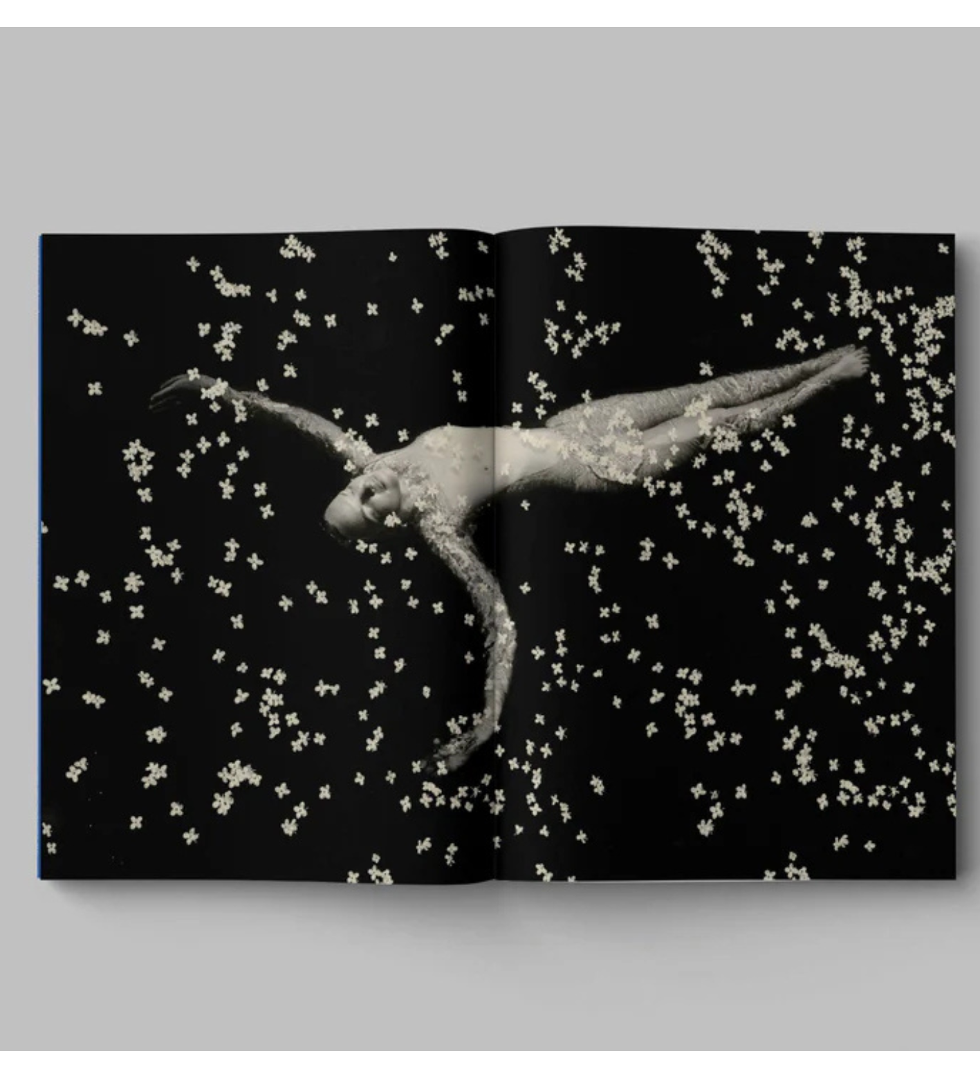 Paul Cupido: Drifting stones (signed & numbered)