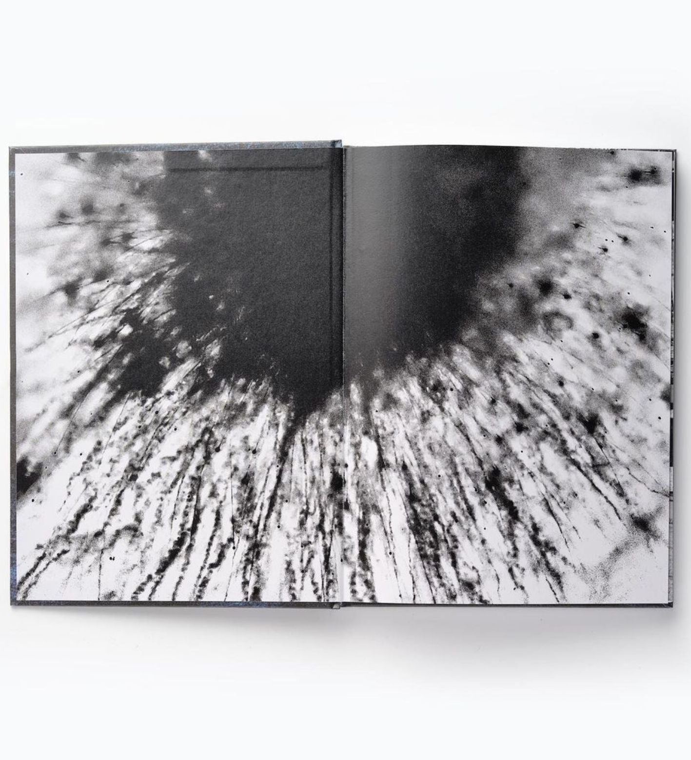 Reuben Radding: Heavenly Arms