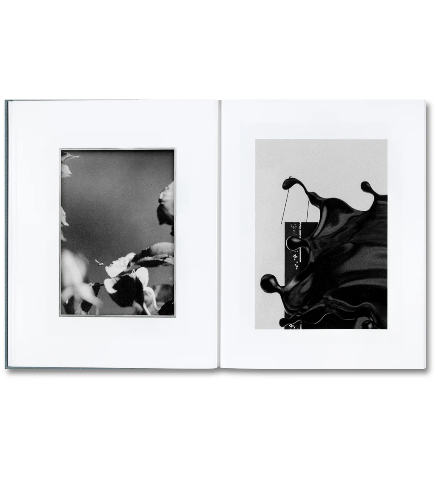 Daniel Shea: Distribution (signed)