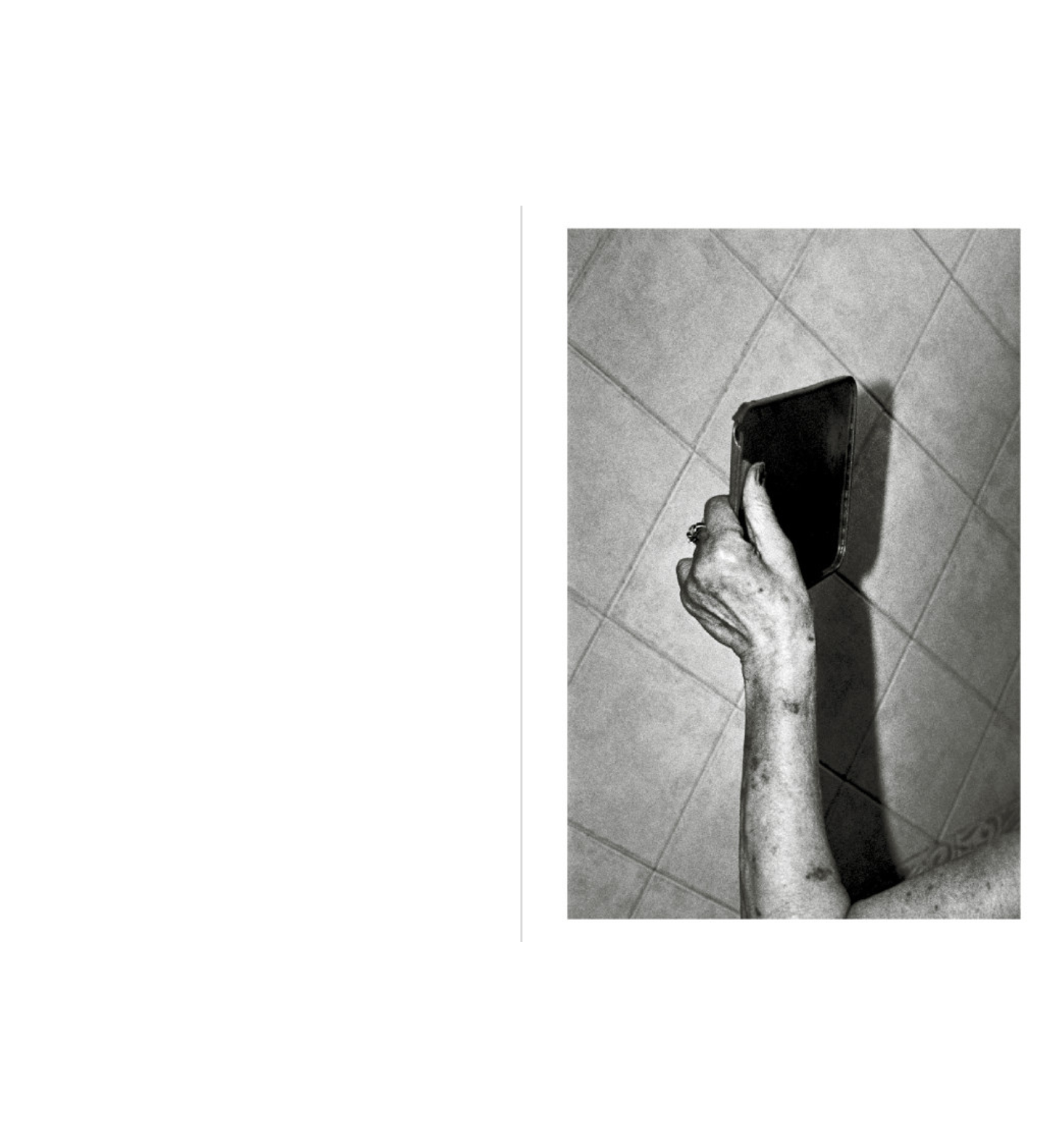 Filippo Zambon: Goodbye Meadow