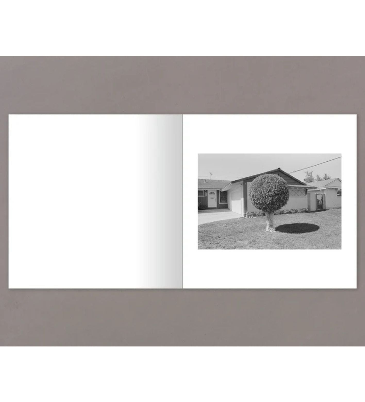Henry Wessel, Austin Leong, Adrian Martinez: Soft Eyes (signed)