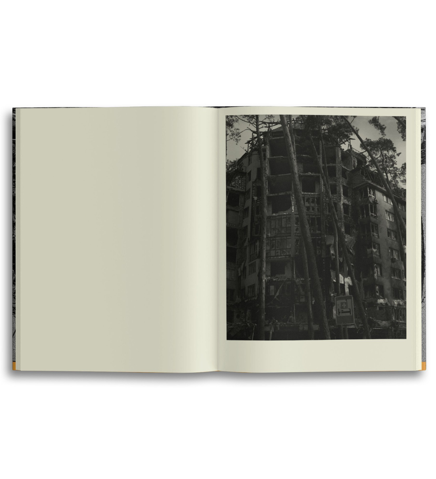 Yana Kononova: Radiations of War