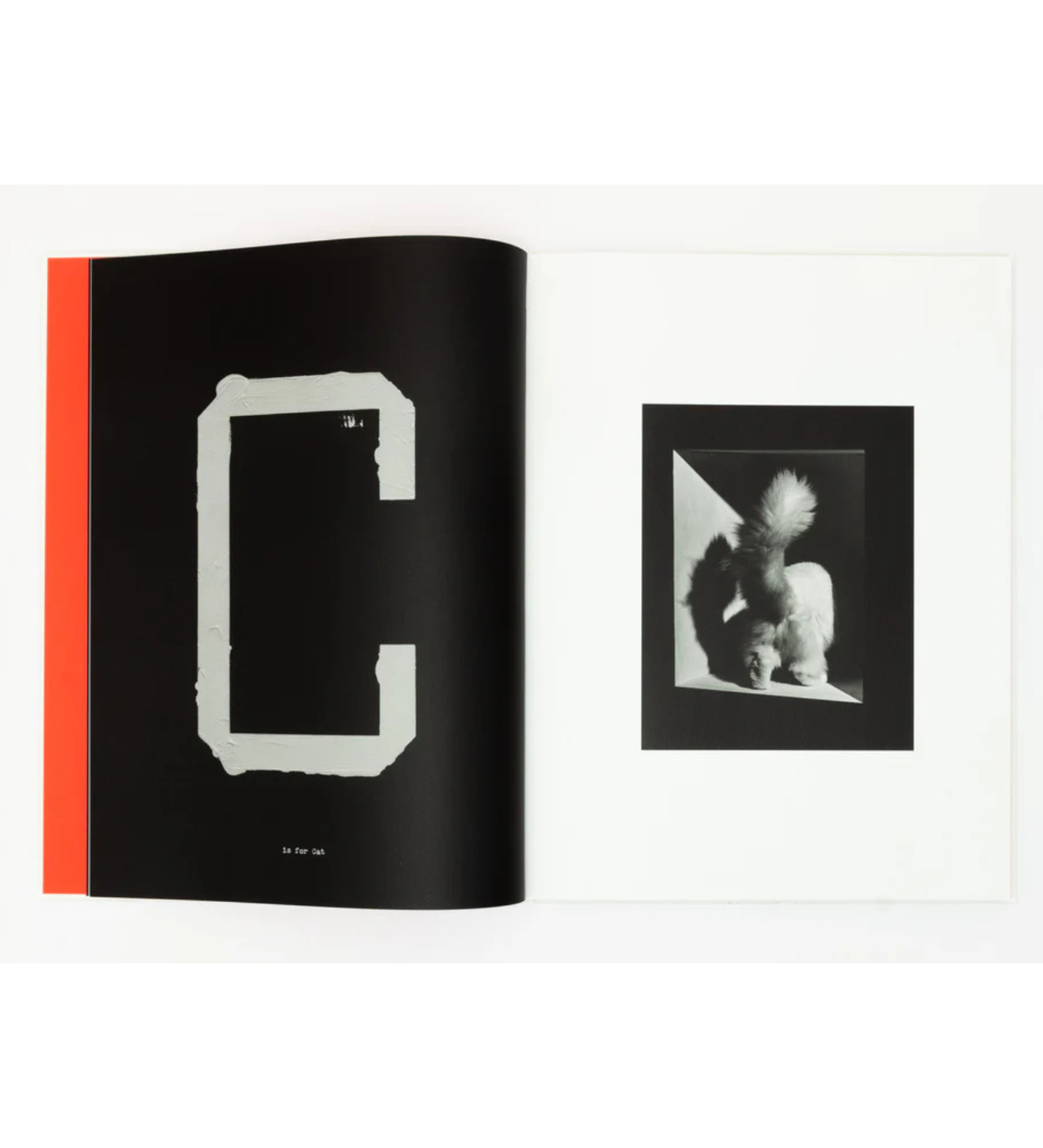 Jack Davison: A is for Ant