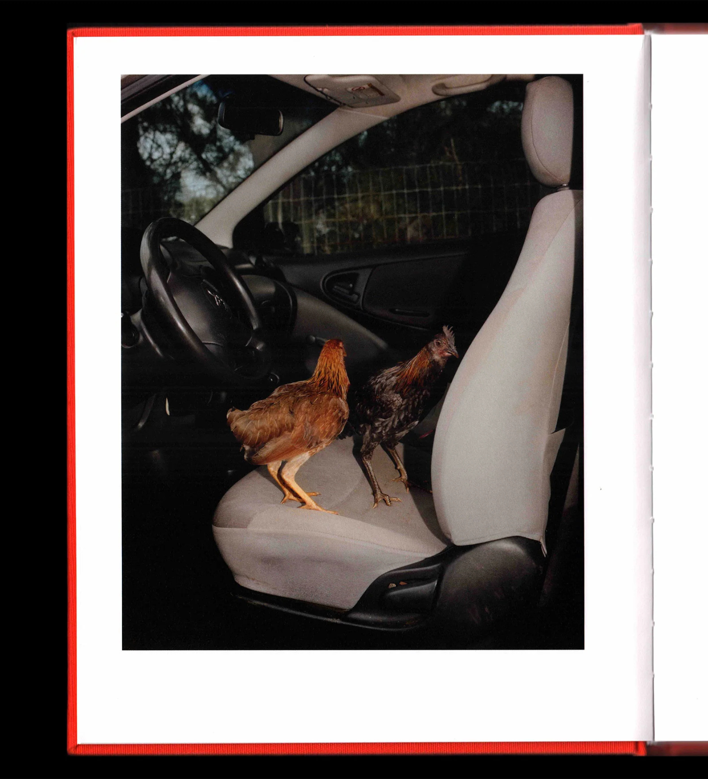 Jack Bool: Assembly (with print)