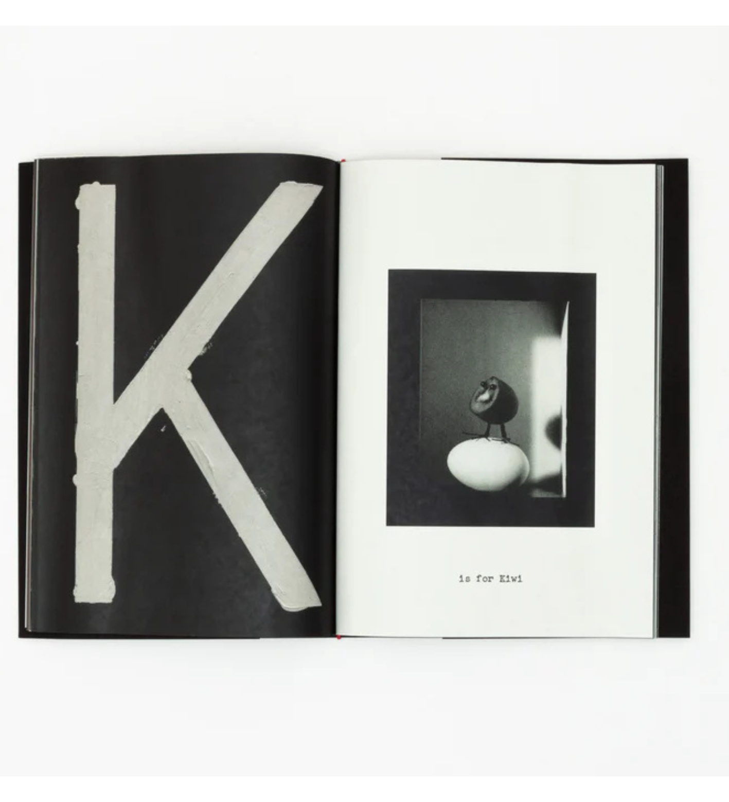 Jack Davison: A is for Ant Children's Edition