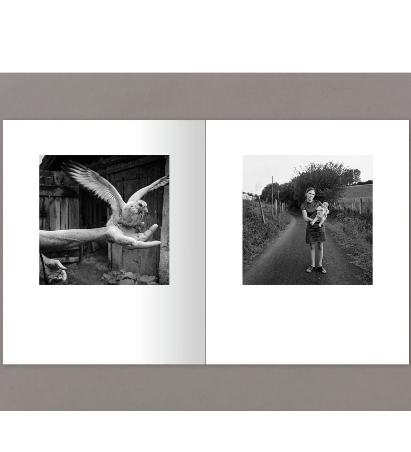 Anne Rearick: Gure Bazterrak (Our Land)