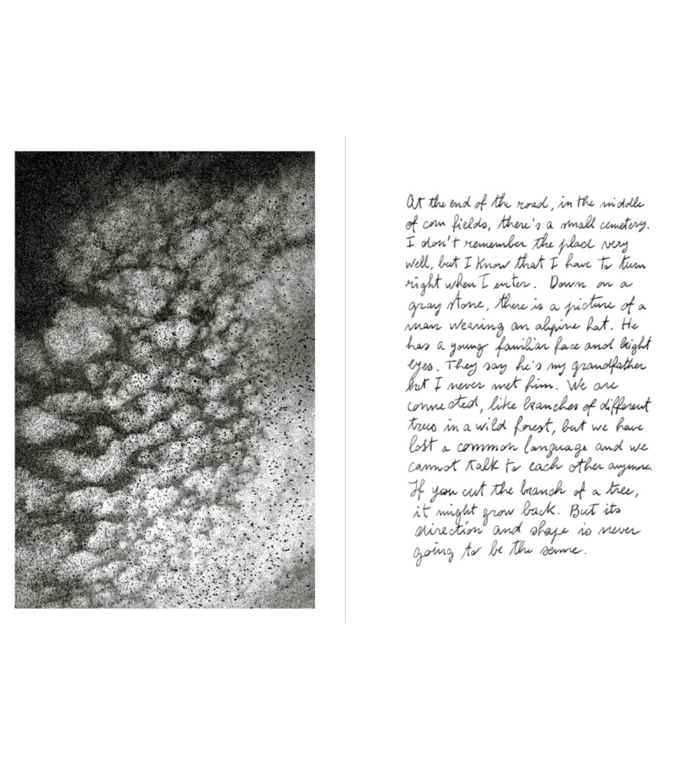 Filippo Zambon: Goodbye Meadow