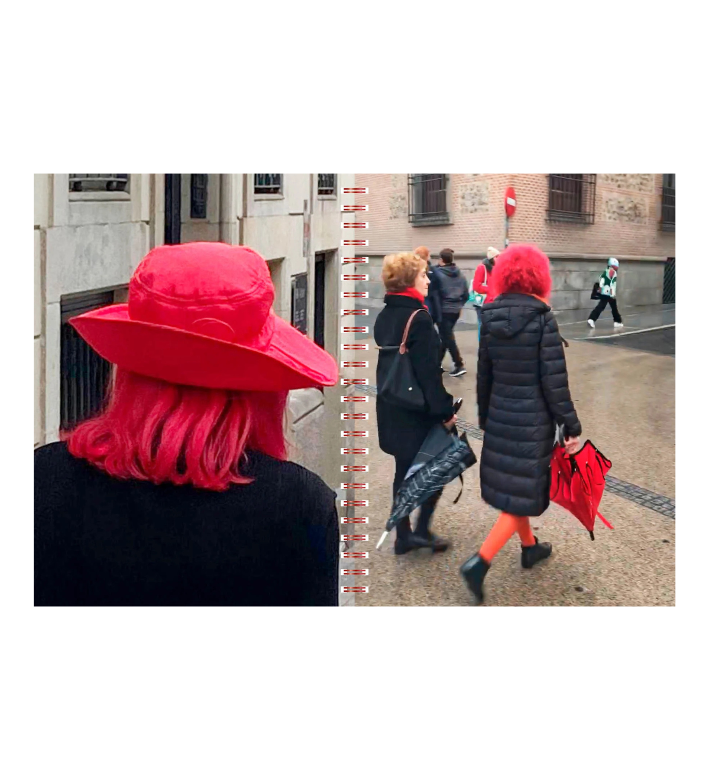 Ángela Suárez: Birds of Paradise