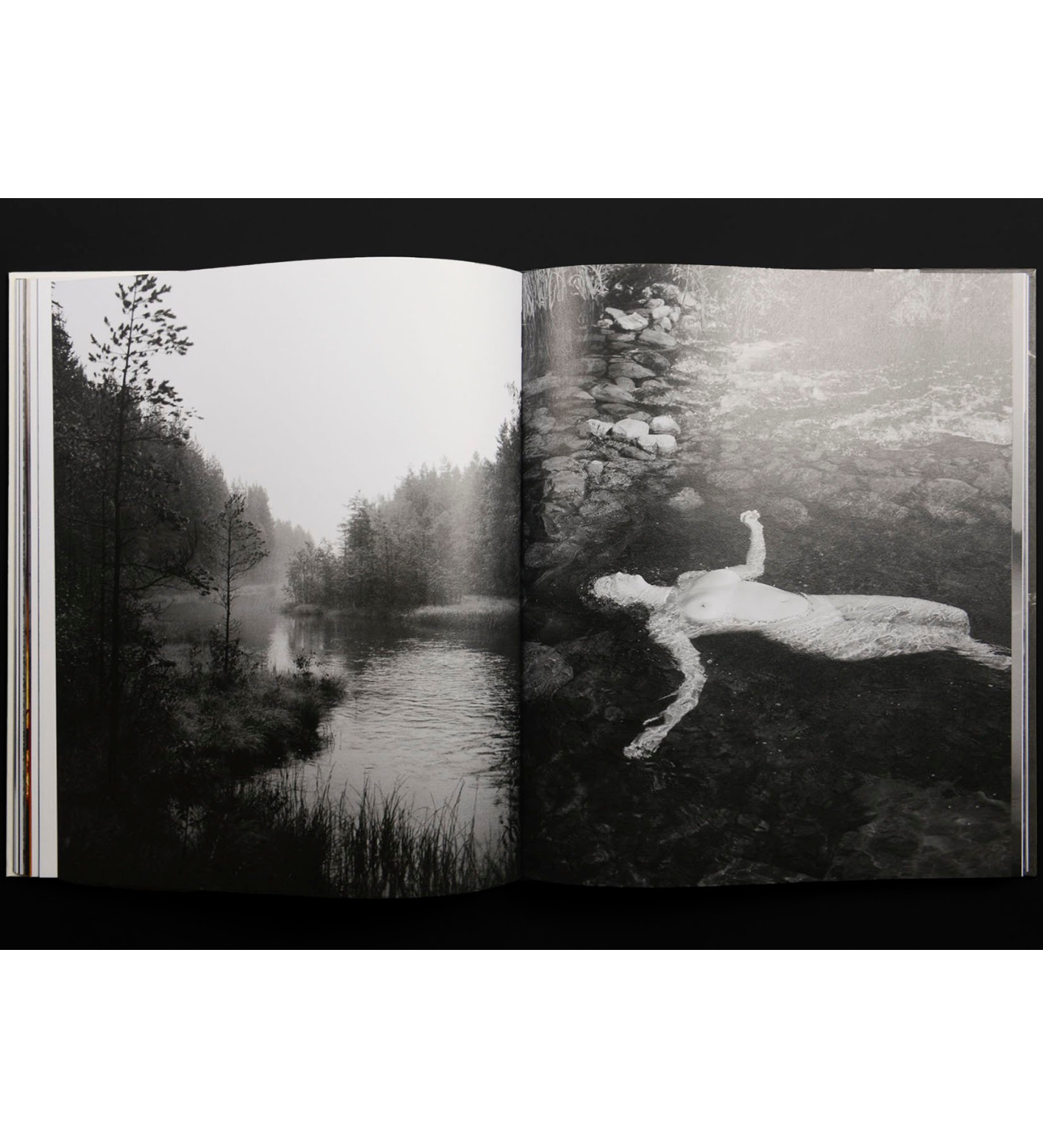 Maja Daniels: Gertrud