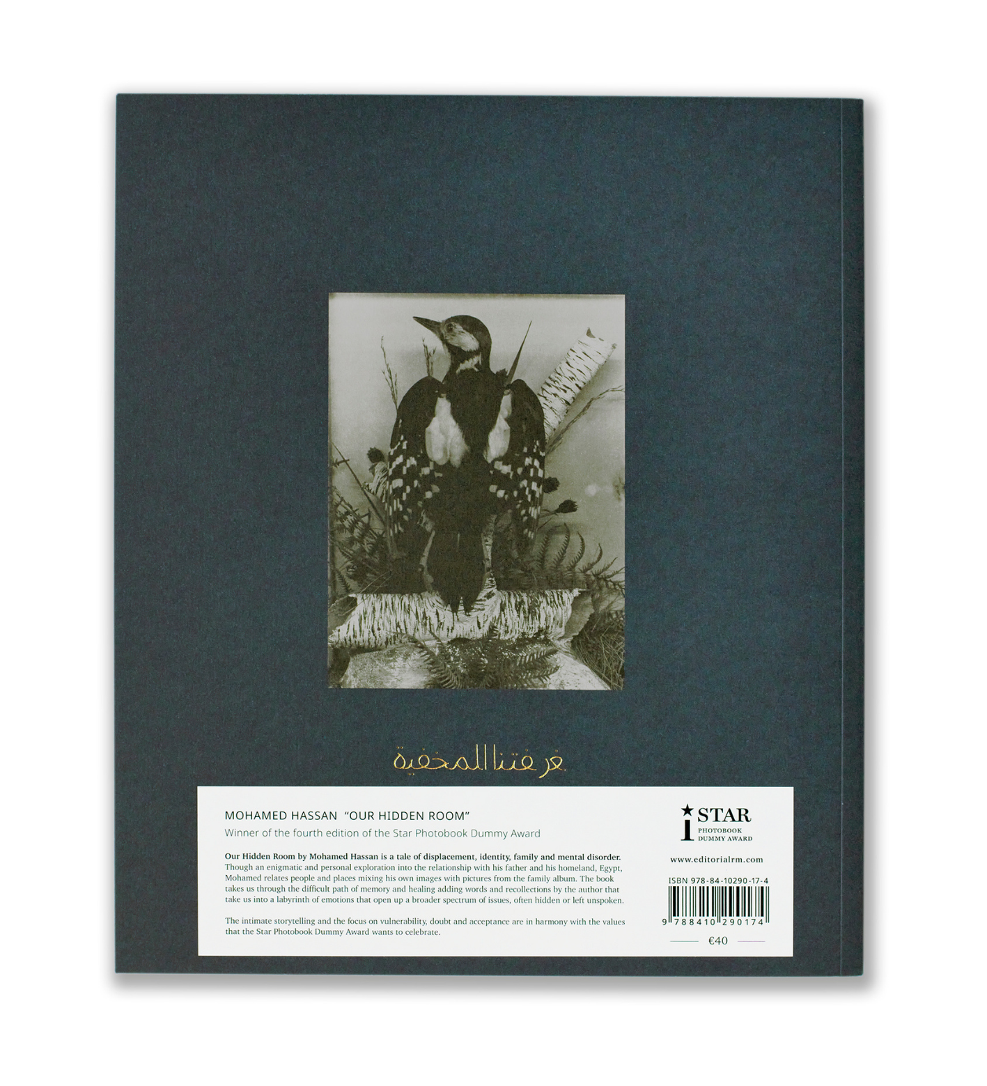 Mohamed Hassan: Our Hidden Room