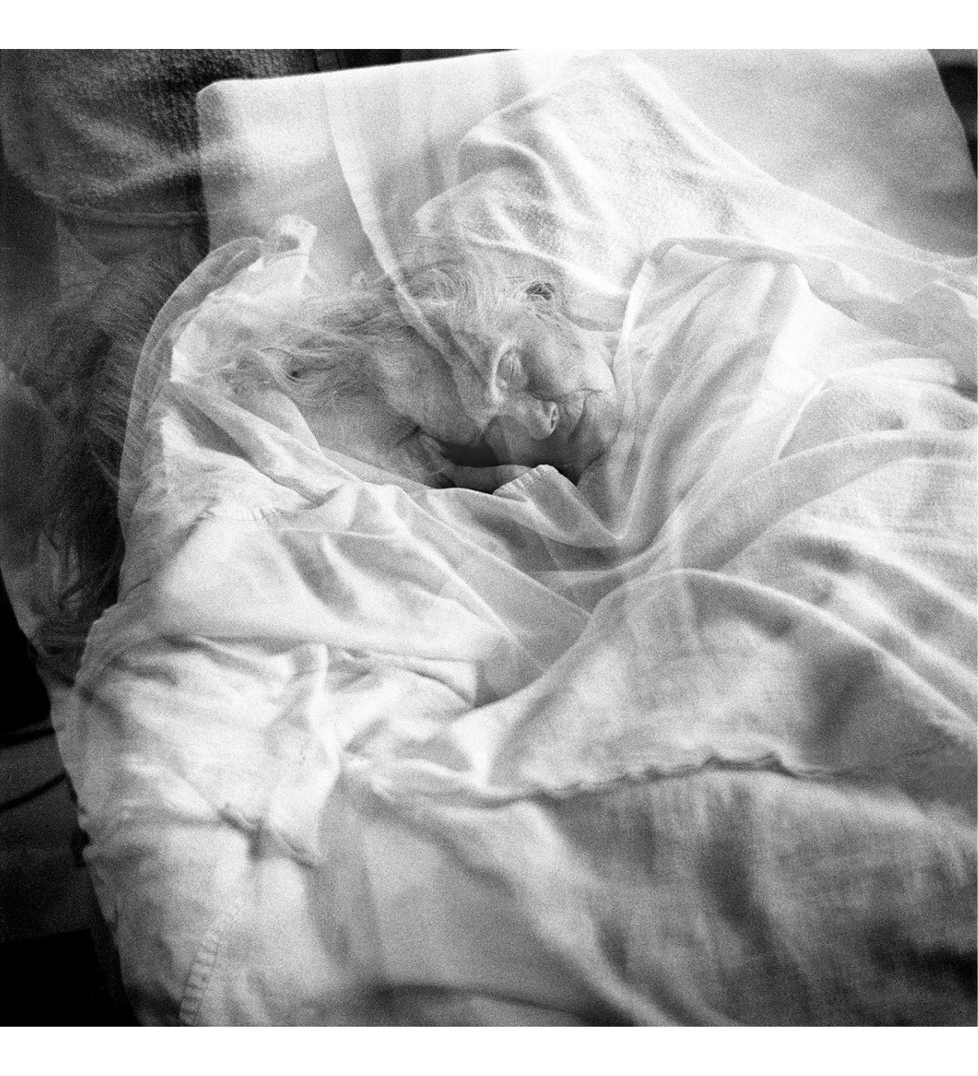 Anna Arendt: Vanishing (signed)