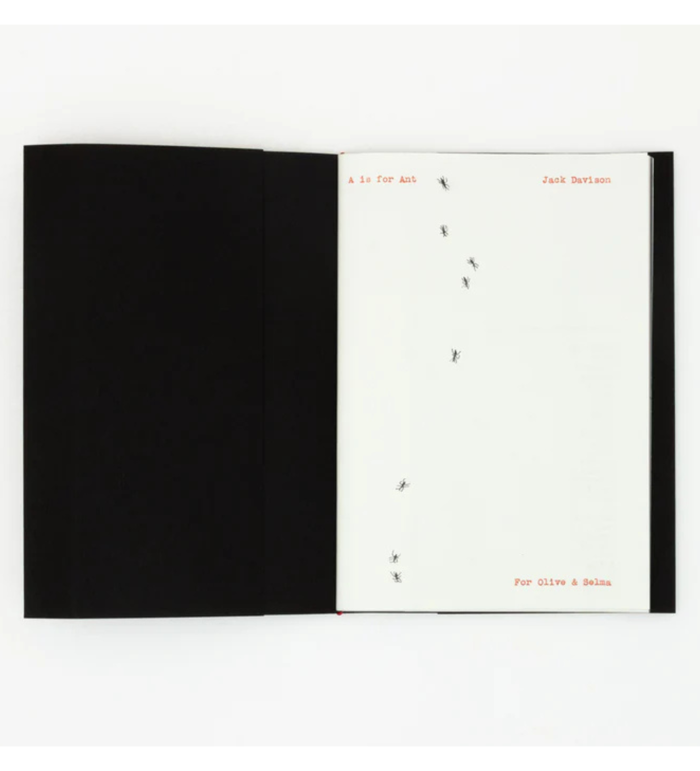 Jack Davison: A is for Ant Children's Edition