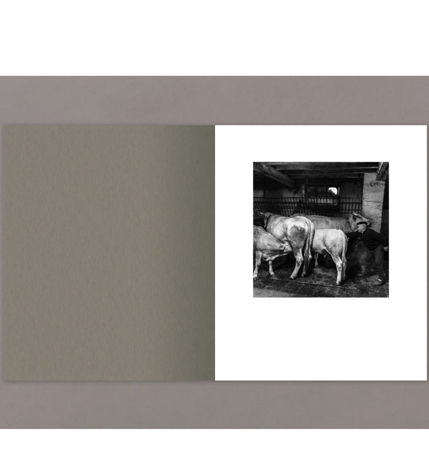 Anne Rearick: Gure Bazterrak (Our Land)
