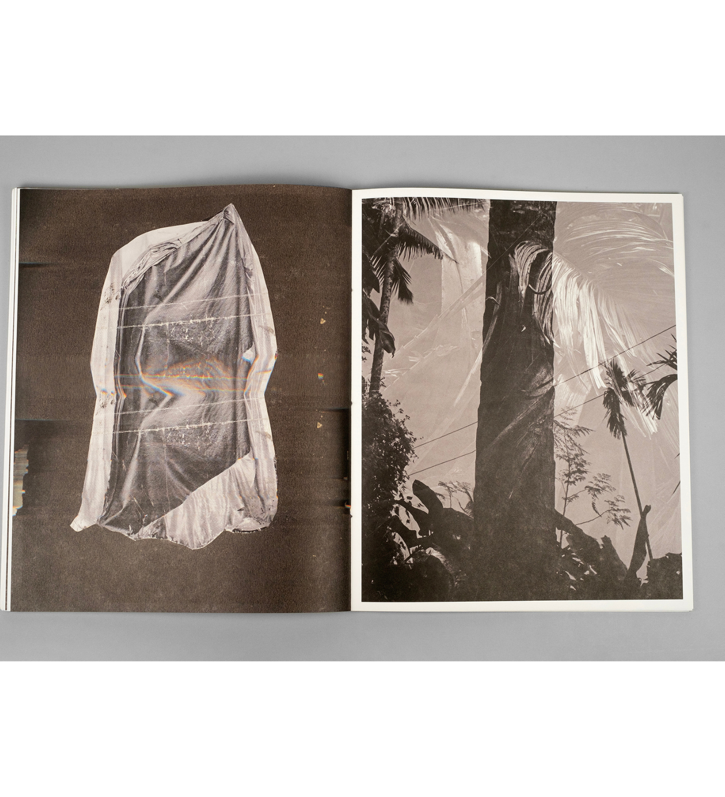 Bharat Sikka: Ripples in the Pond