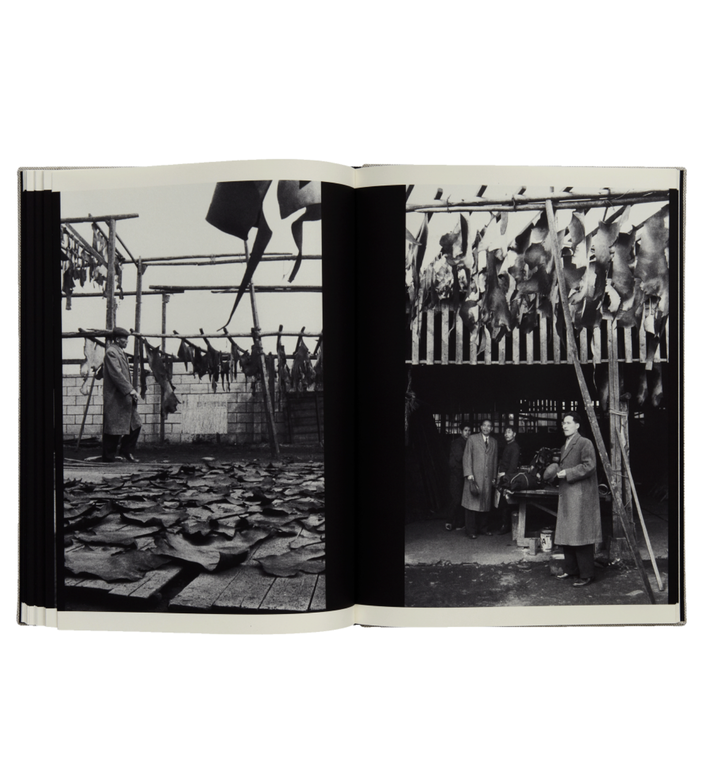 Yukichi Watabe: A Criminal Investigation