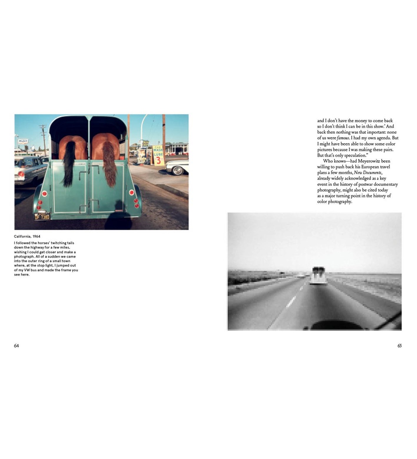 Joel Meyerowitz: A Question of Color