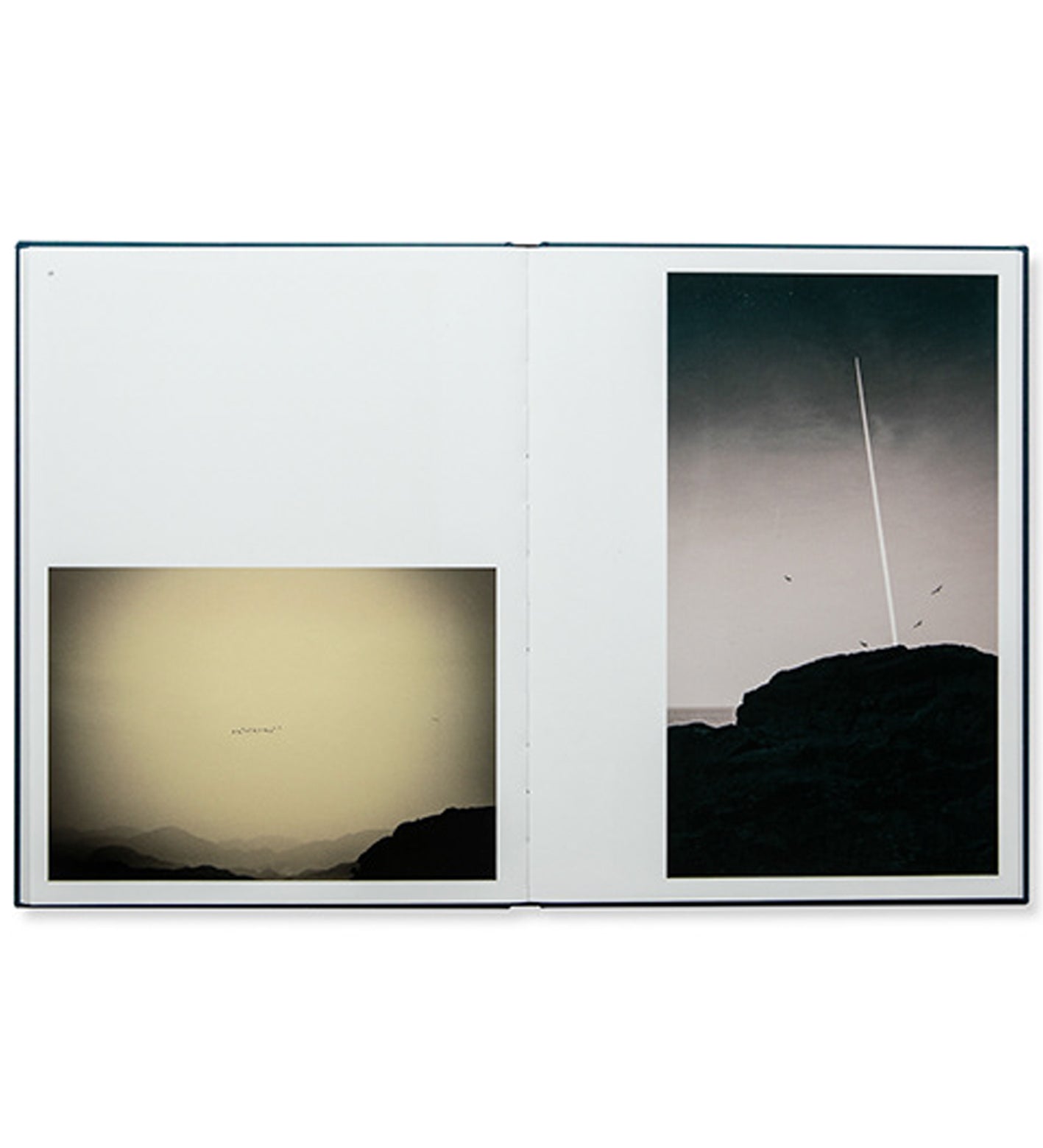 Albarrán Cabrera: Des Oiseaux